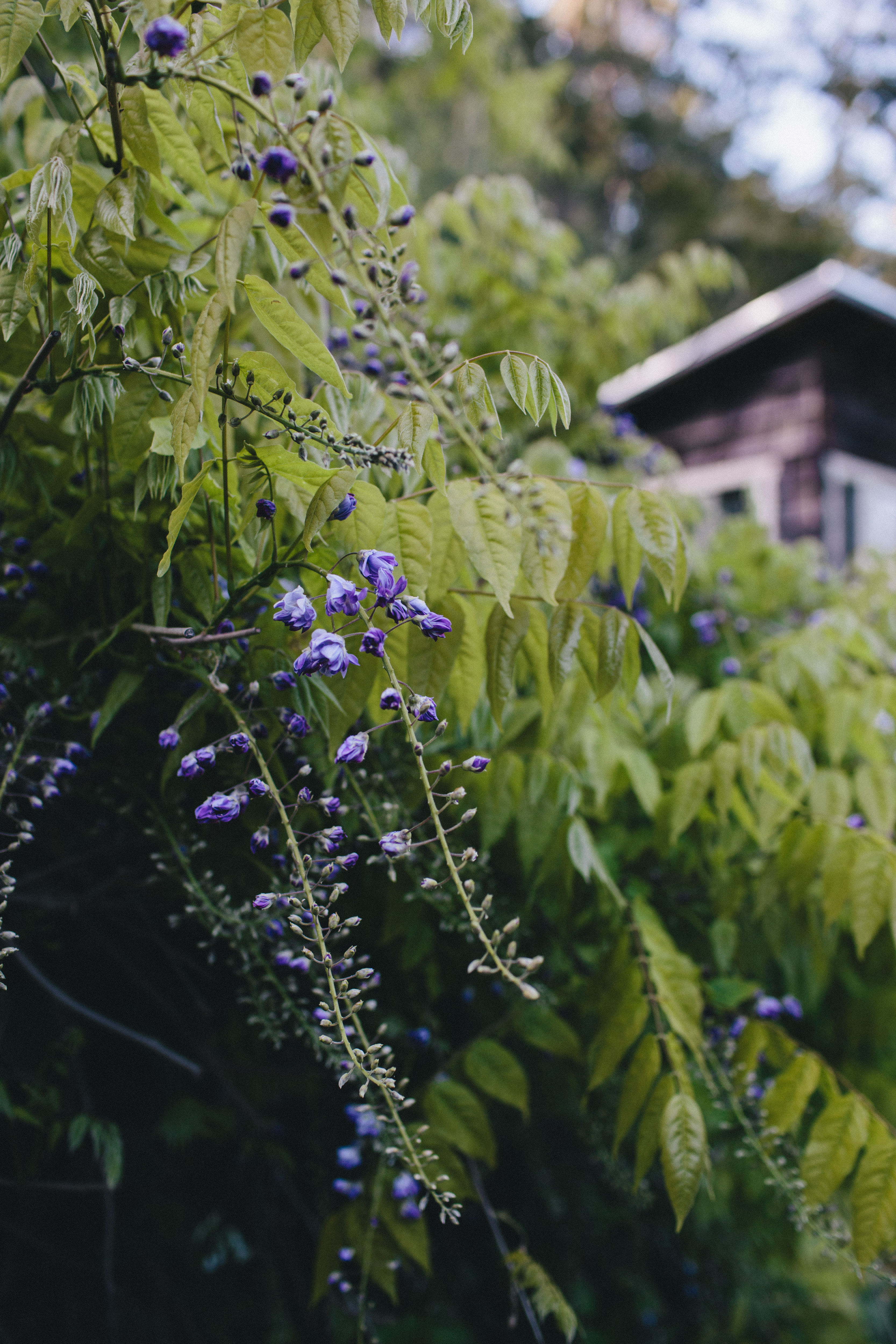 Venture Retreat Center, Pescadero