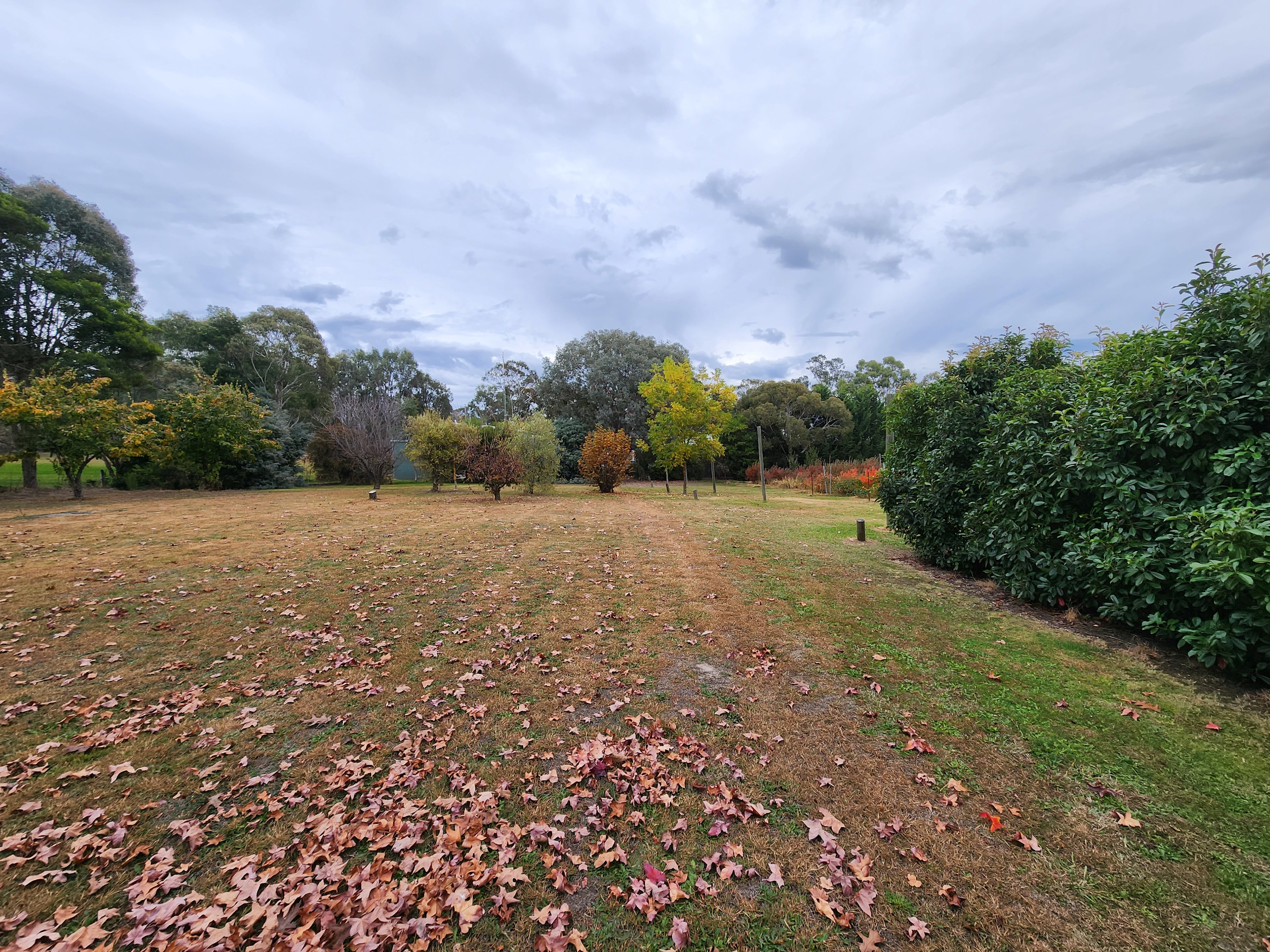 The Little Berry Farm