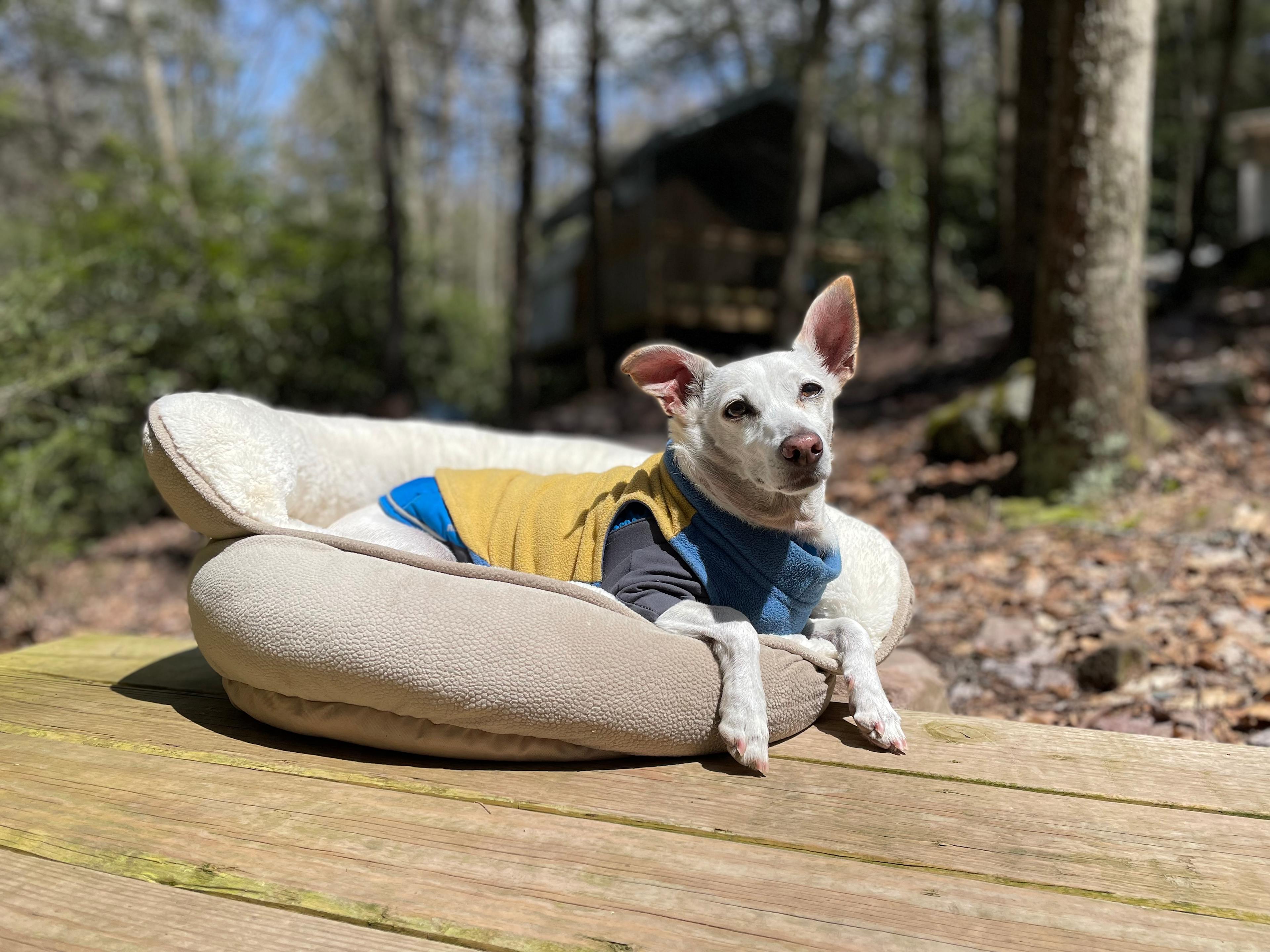 Camp Dietrich on Bear Creek