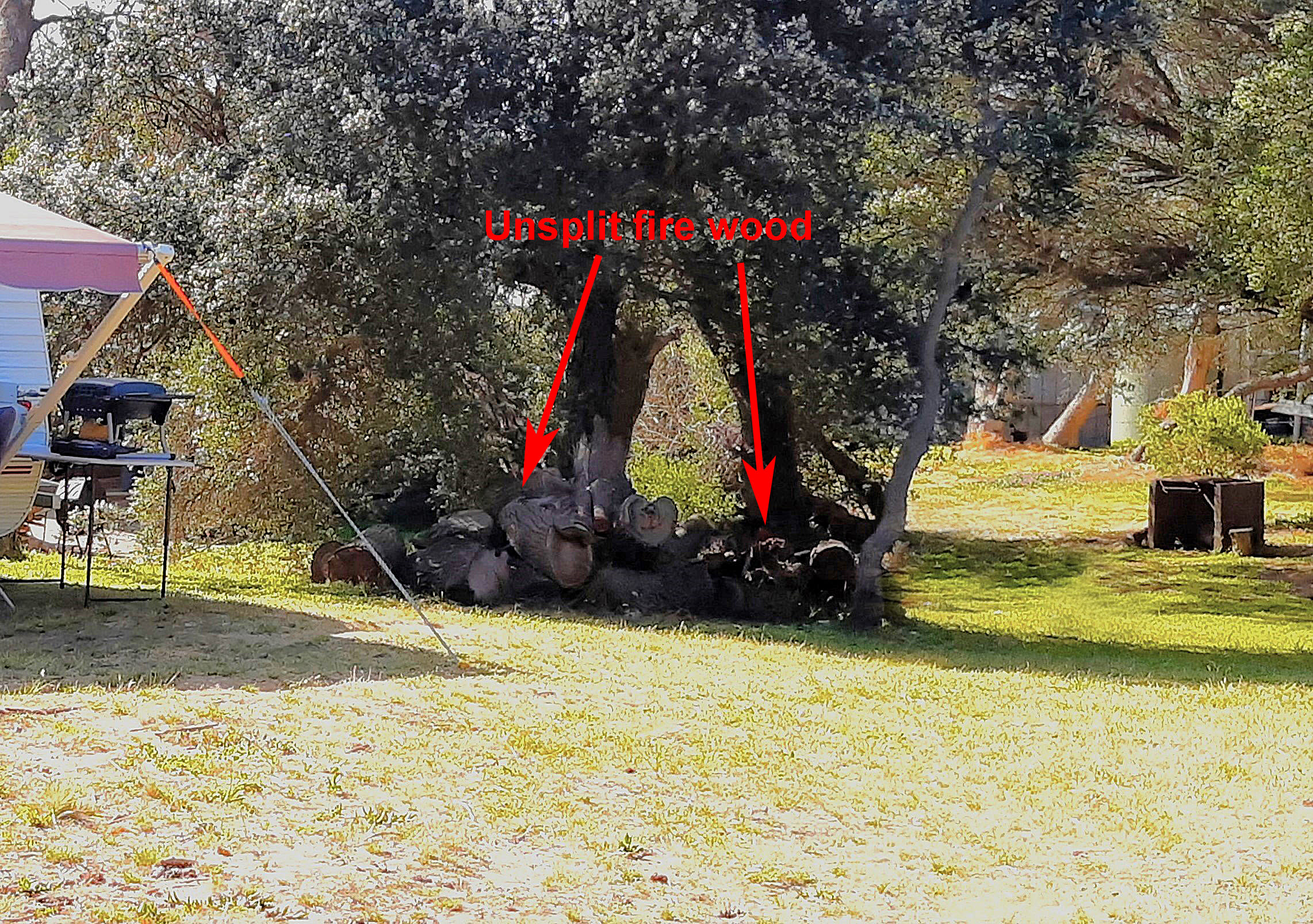 Tranquillity Central