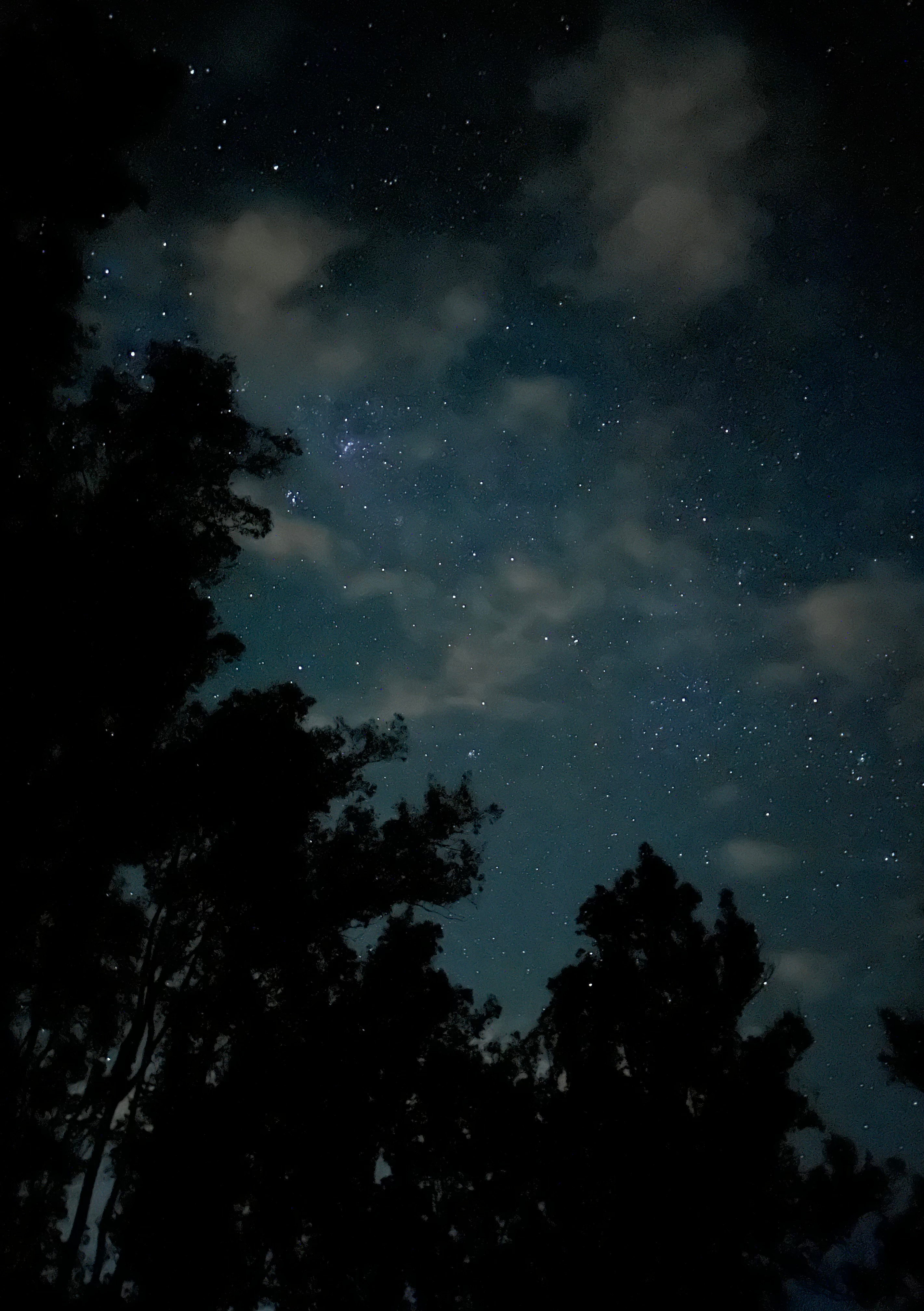 Stargazers night sky!