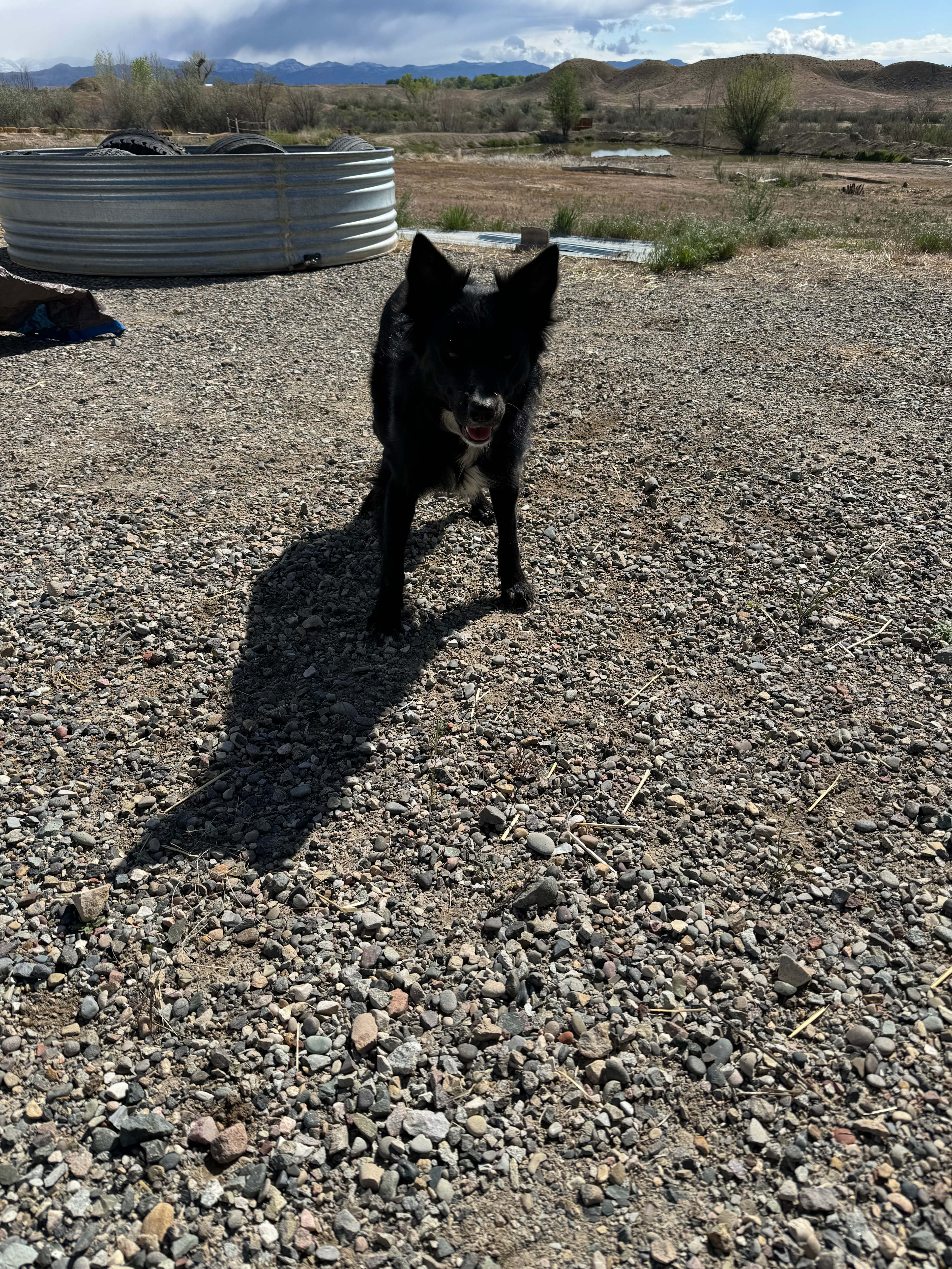 Bear Family Ranch RV and Camping