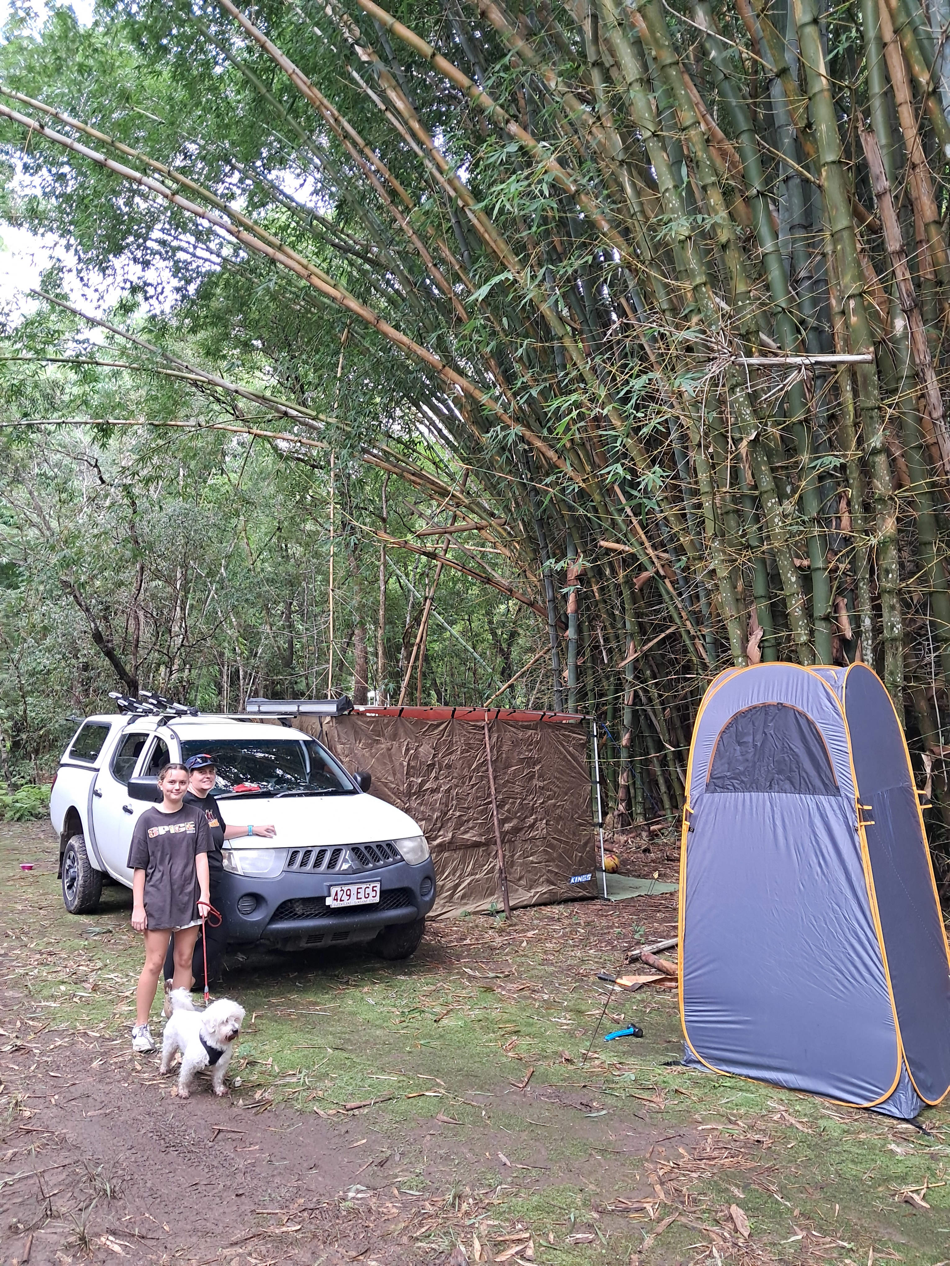 Belli Bamboo Parkland