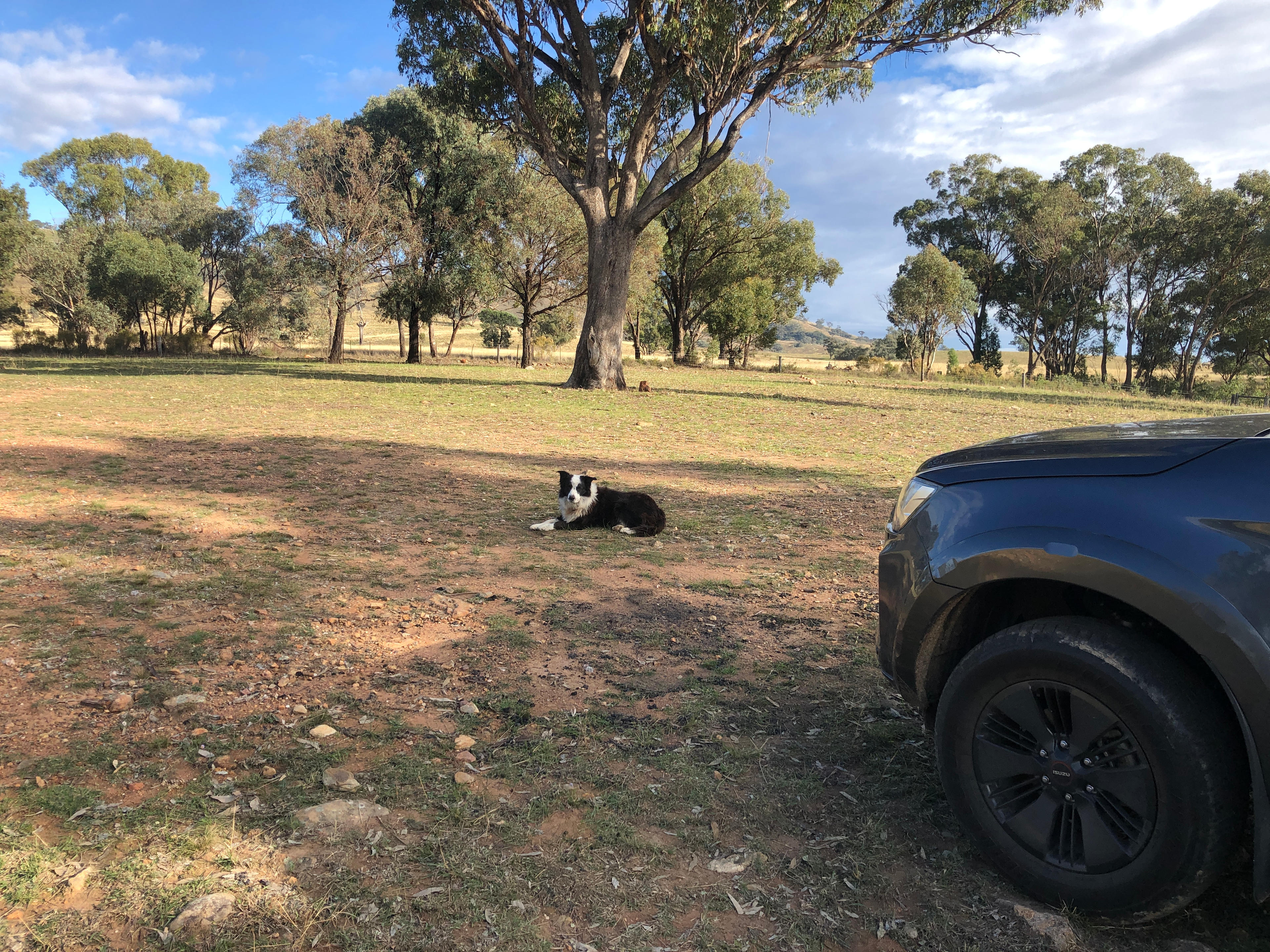 Dunollie Ridge - Groups welcome