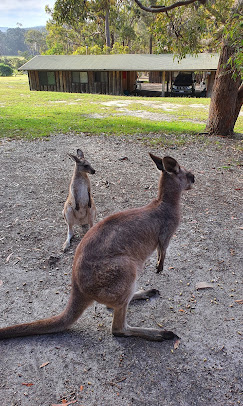 Cabins close to North Tura Beach