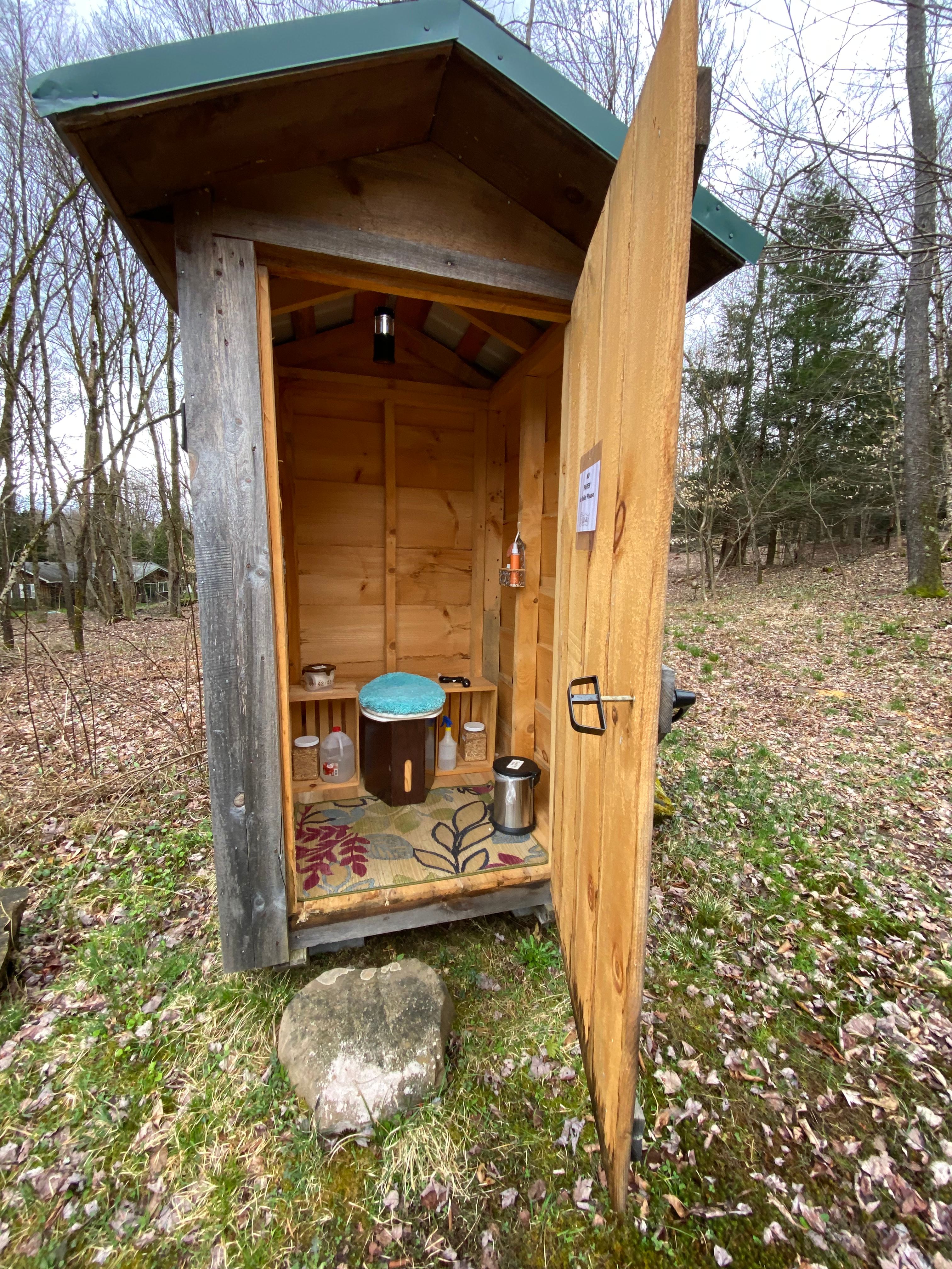 Fiddlehead Grove