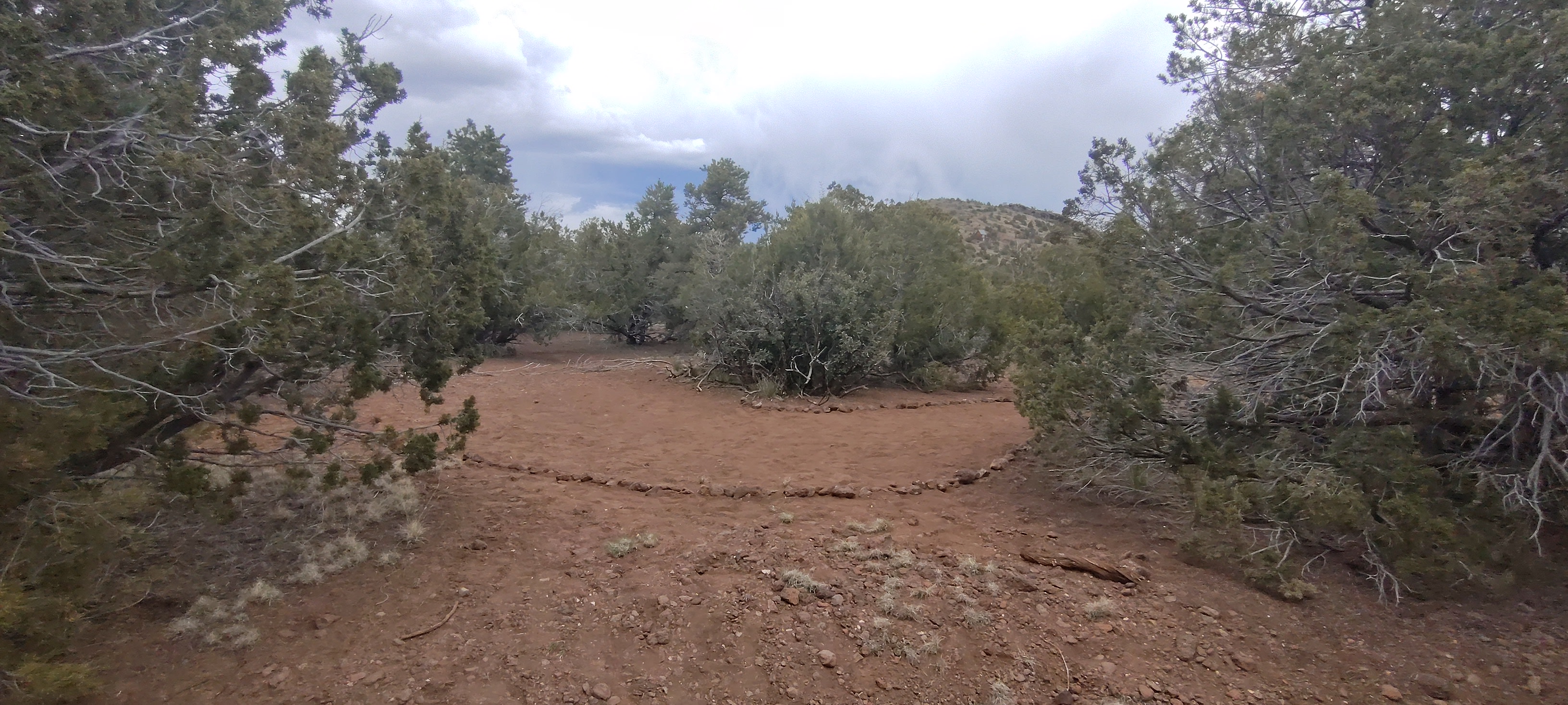 Little Stream facing East  May 11