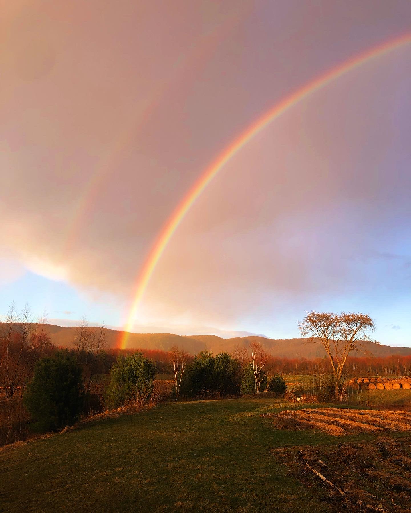 View of the Gatineau Hills from our backyard