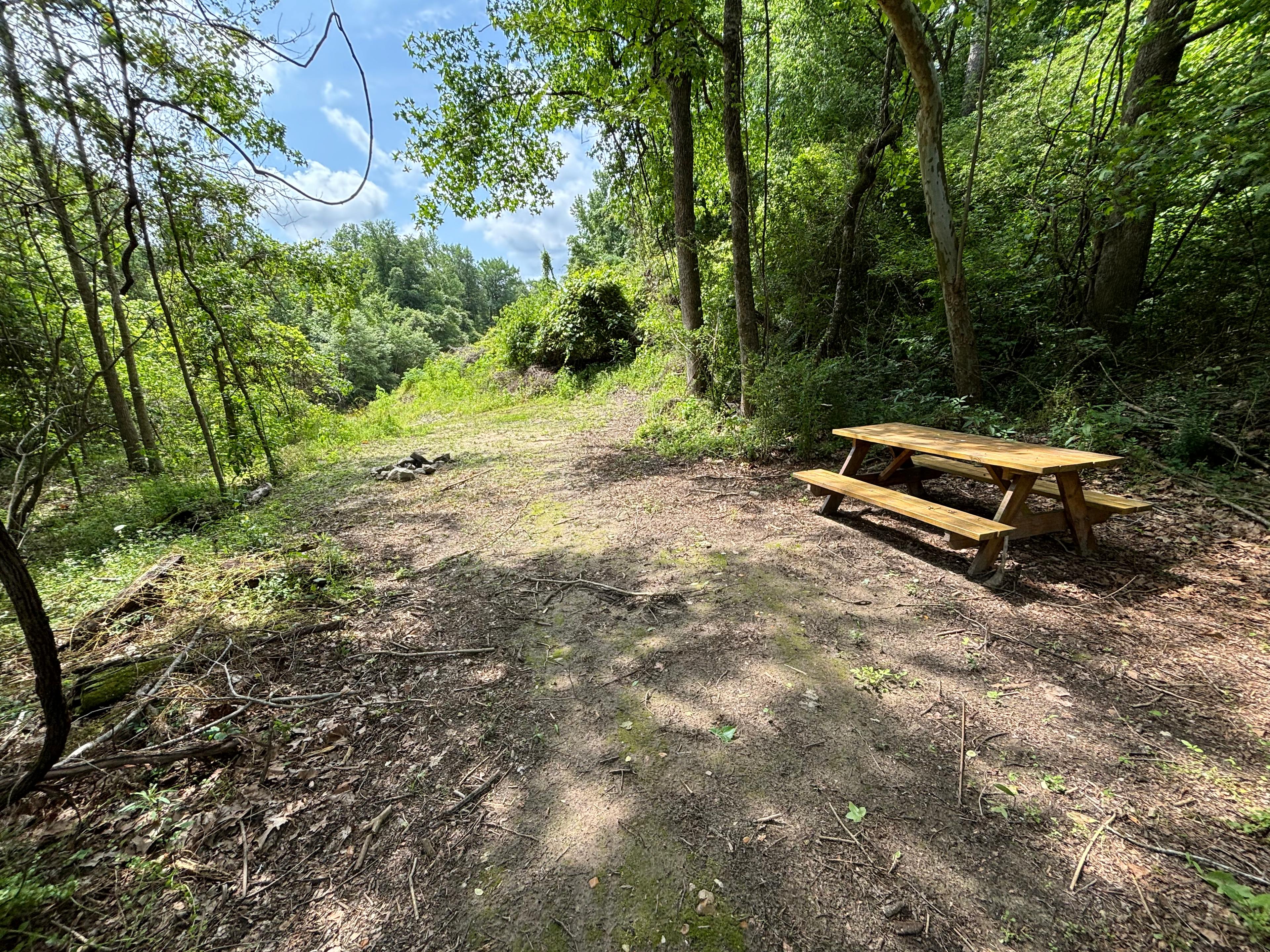 Creekside Container Cabin