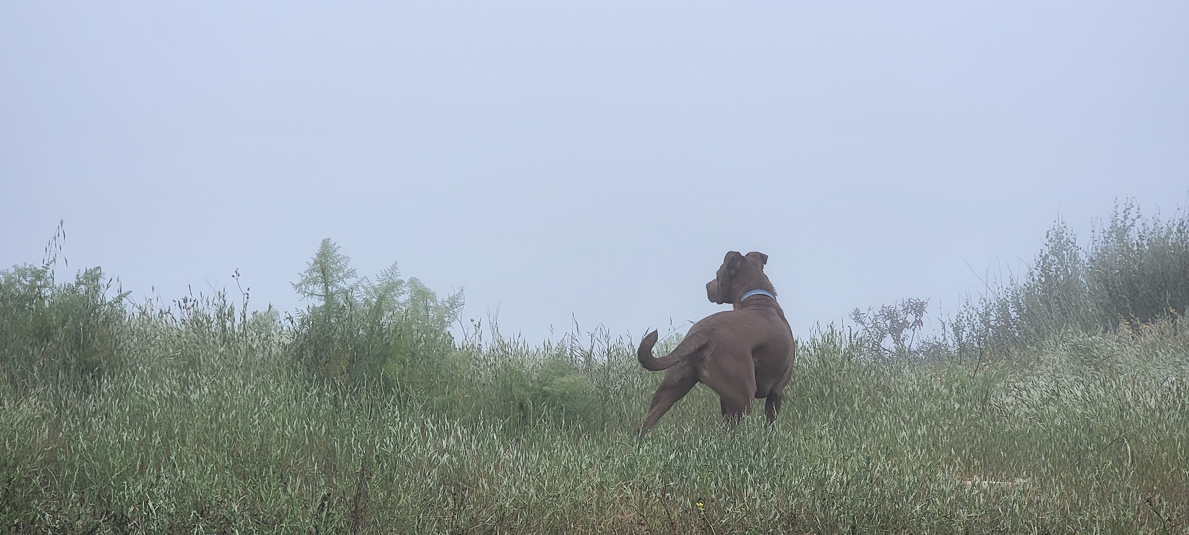 The Lodge at Deer Creek