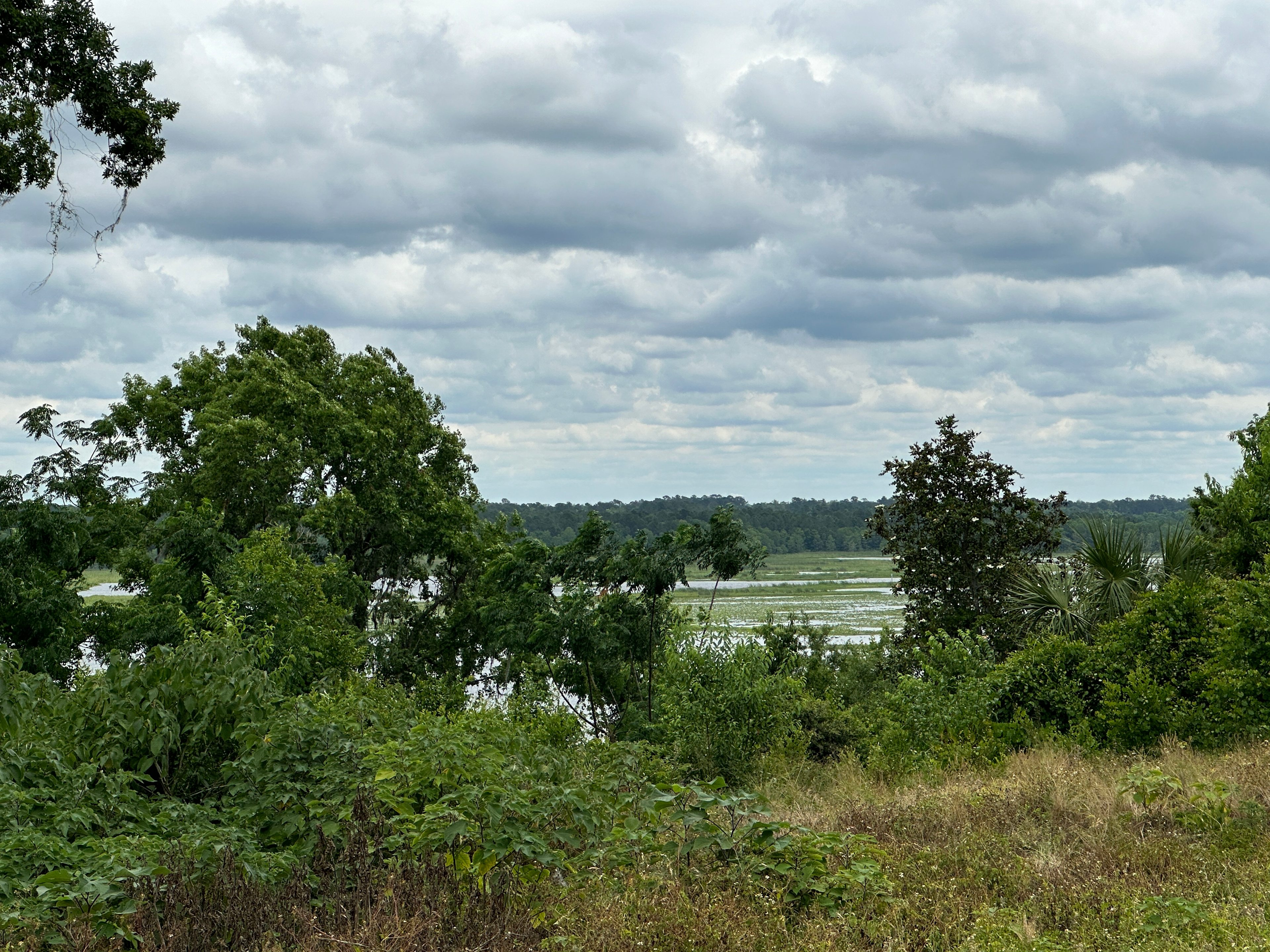 Ocala Forest ATV Basecamp