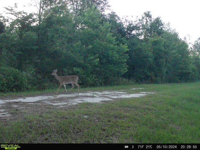 Otter Creek Hip