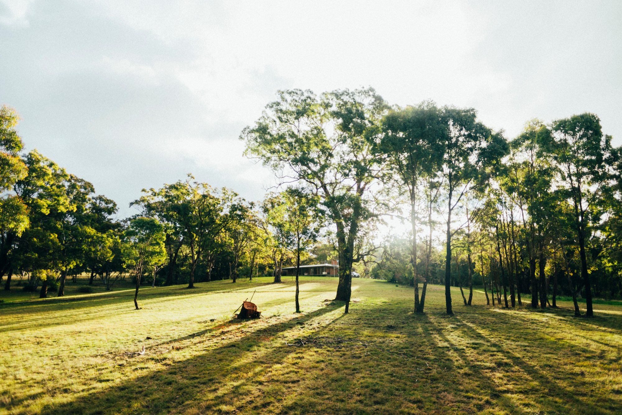 Evening light on the property