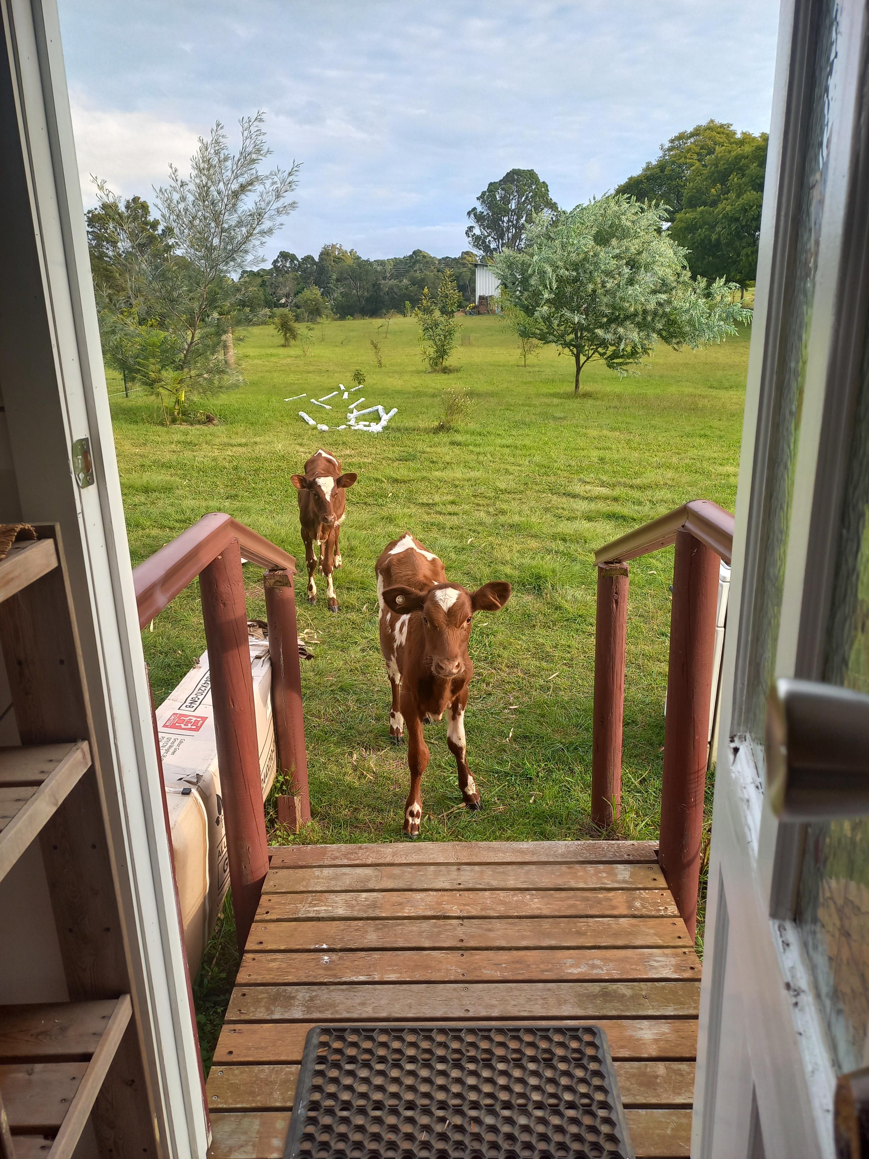 Maison de lavande Farmstay