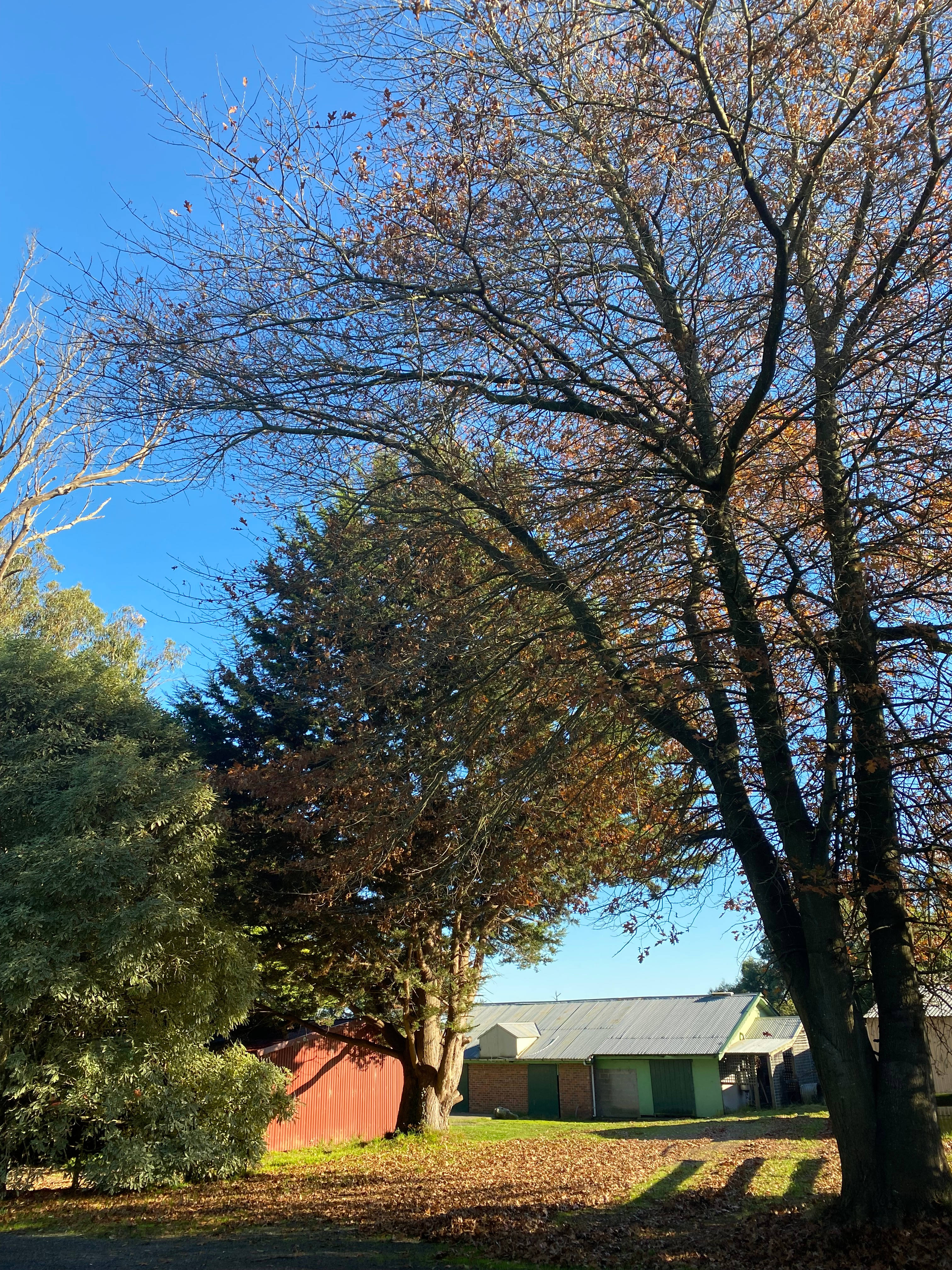 Old Dairy at The Grange, Buln Buln