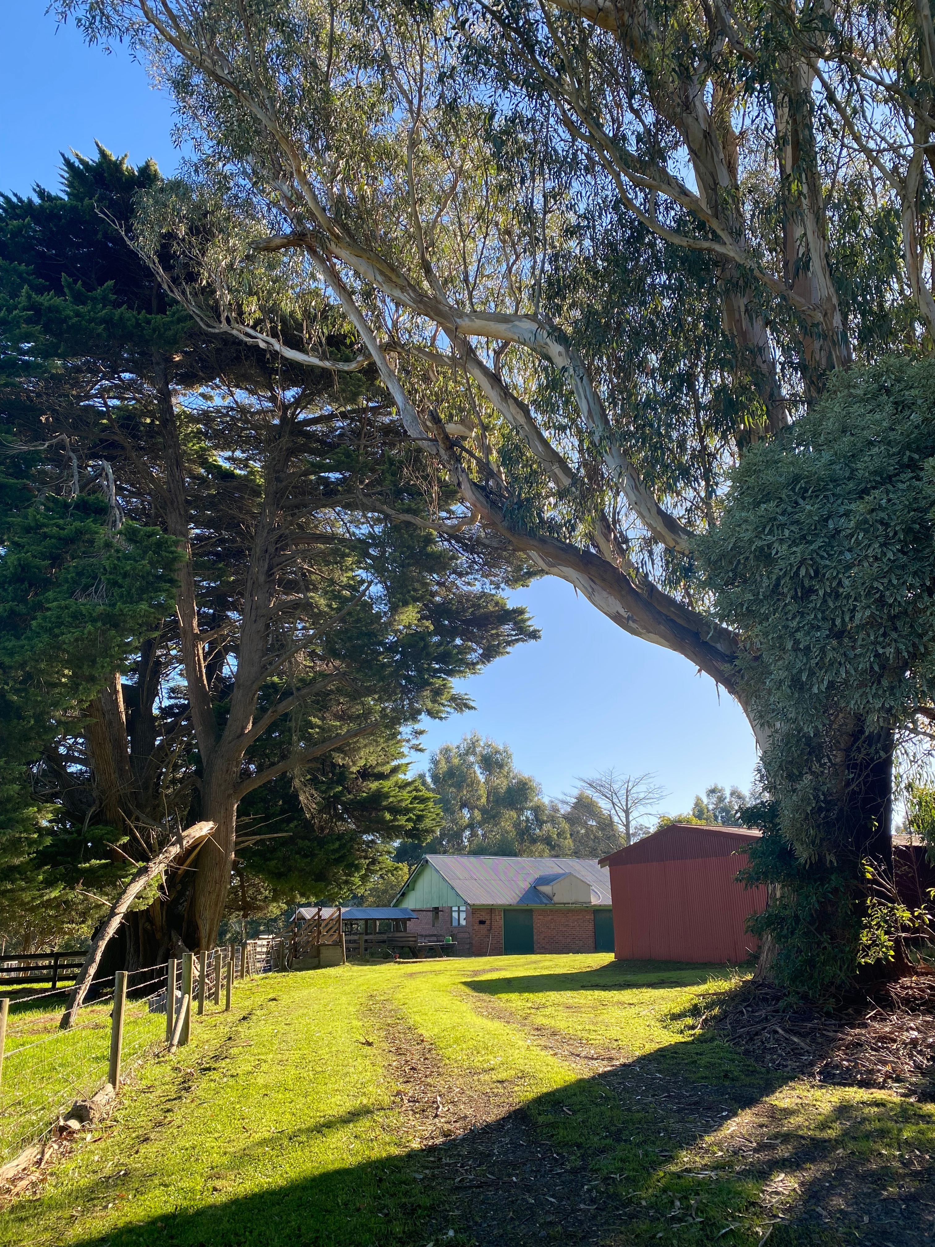 Old Dairy at The Grange, Buln Buln
