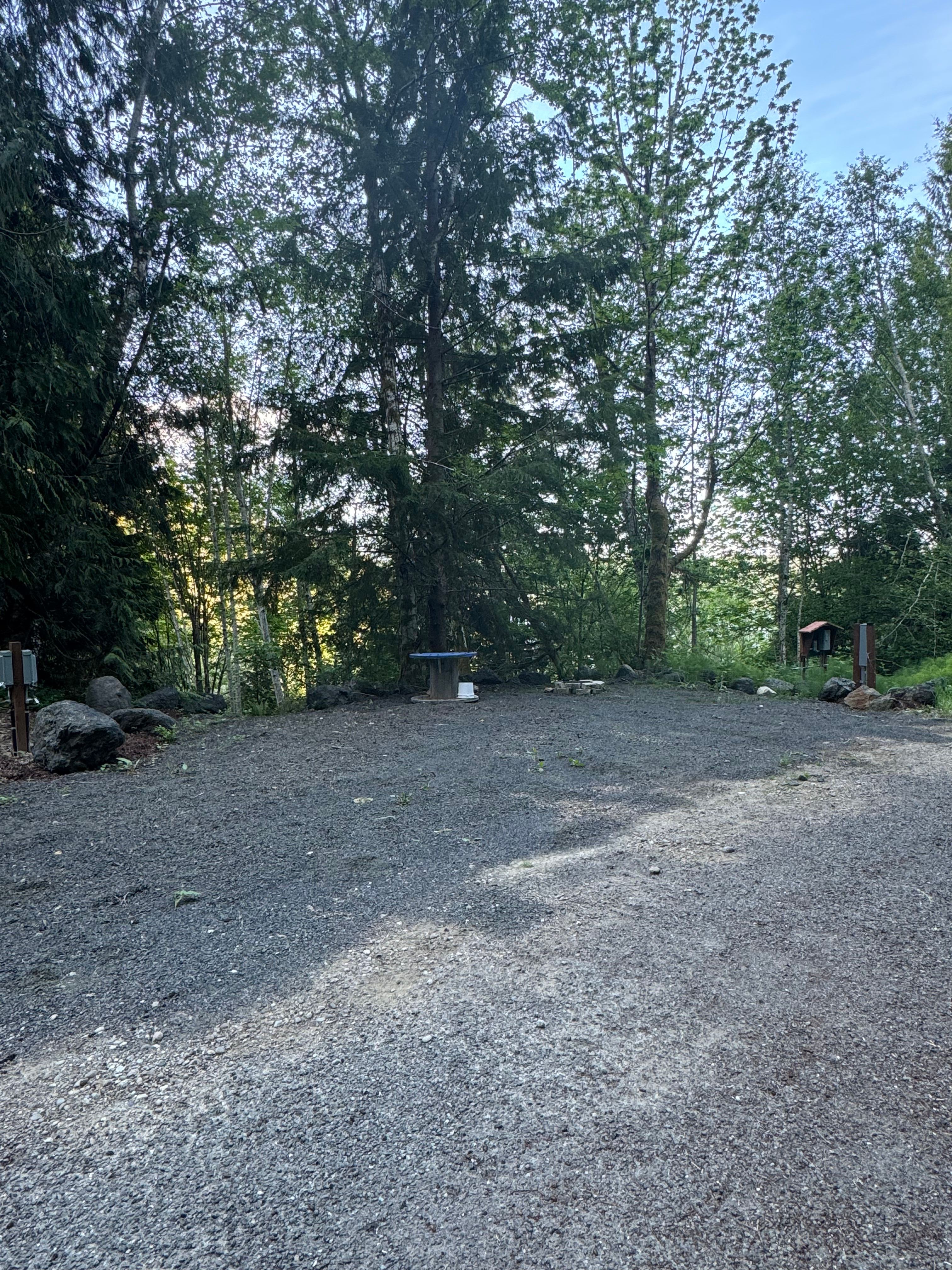 Hood Canal Oyster Farm | Lilliwaup