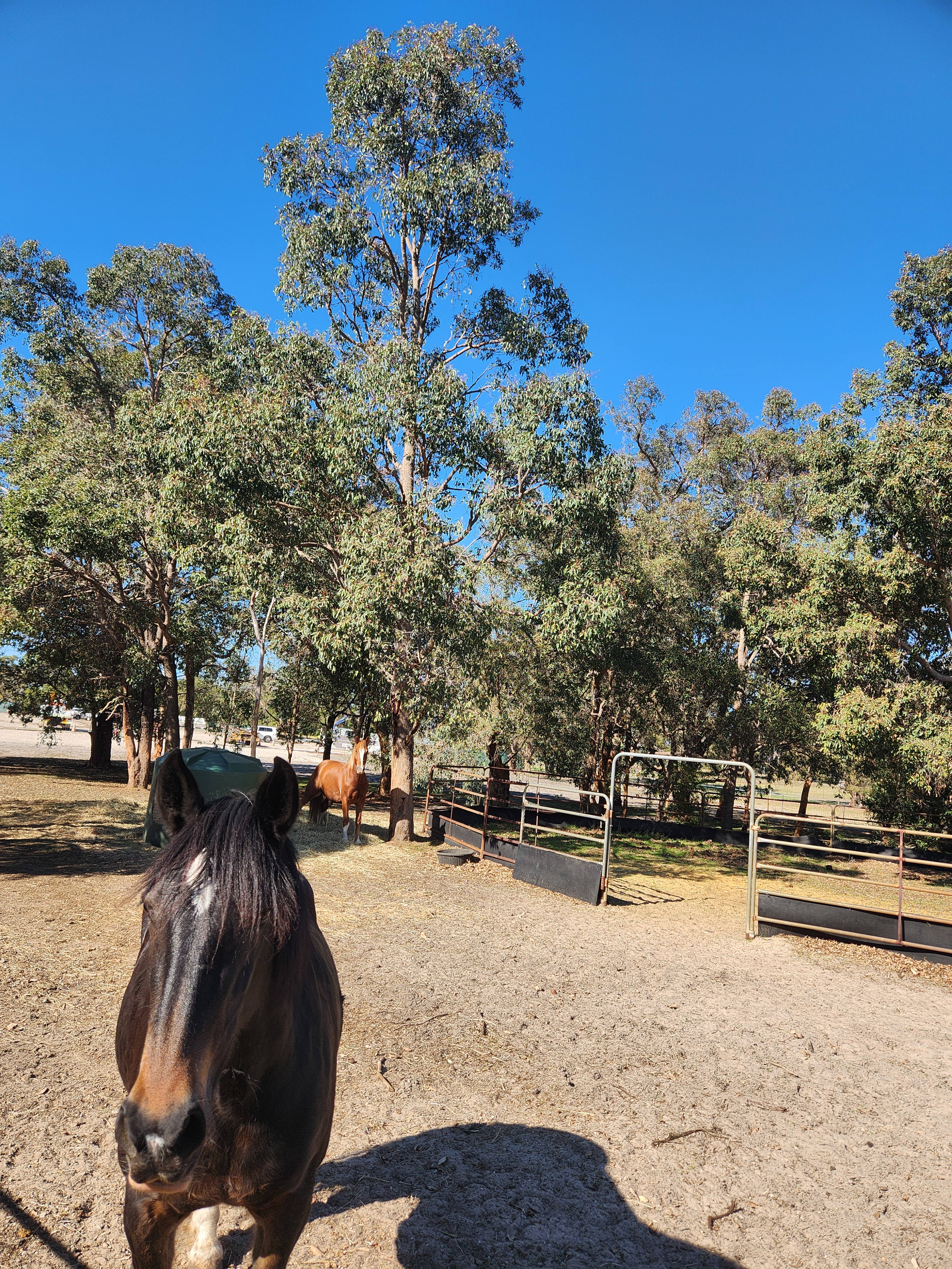 MR & MRS SLUDGE FARM STAY