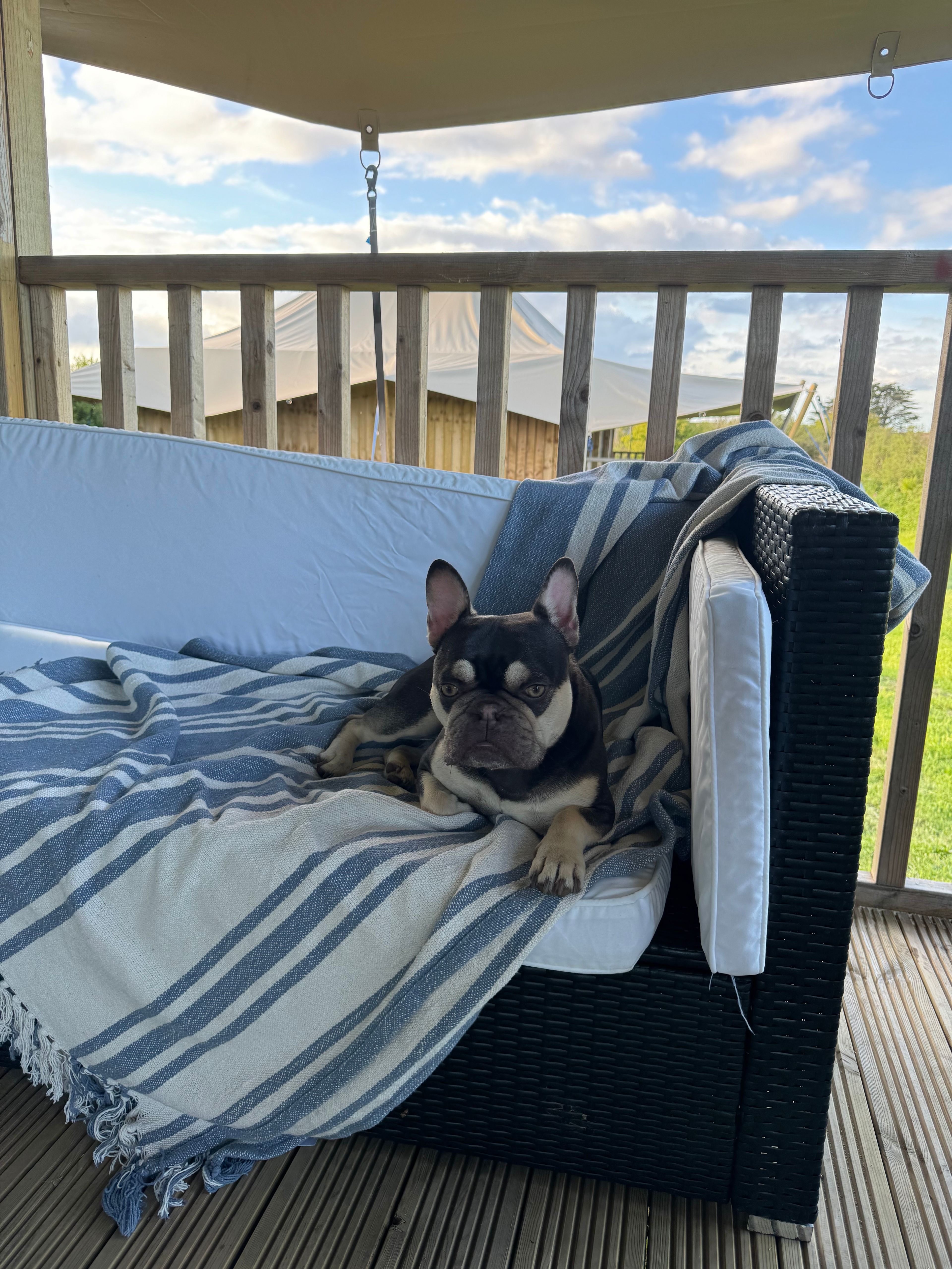 Coastal Glamping @ Tregantle Farm