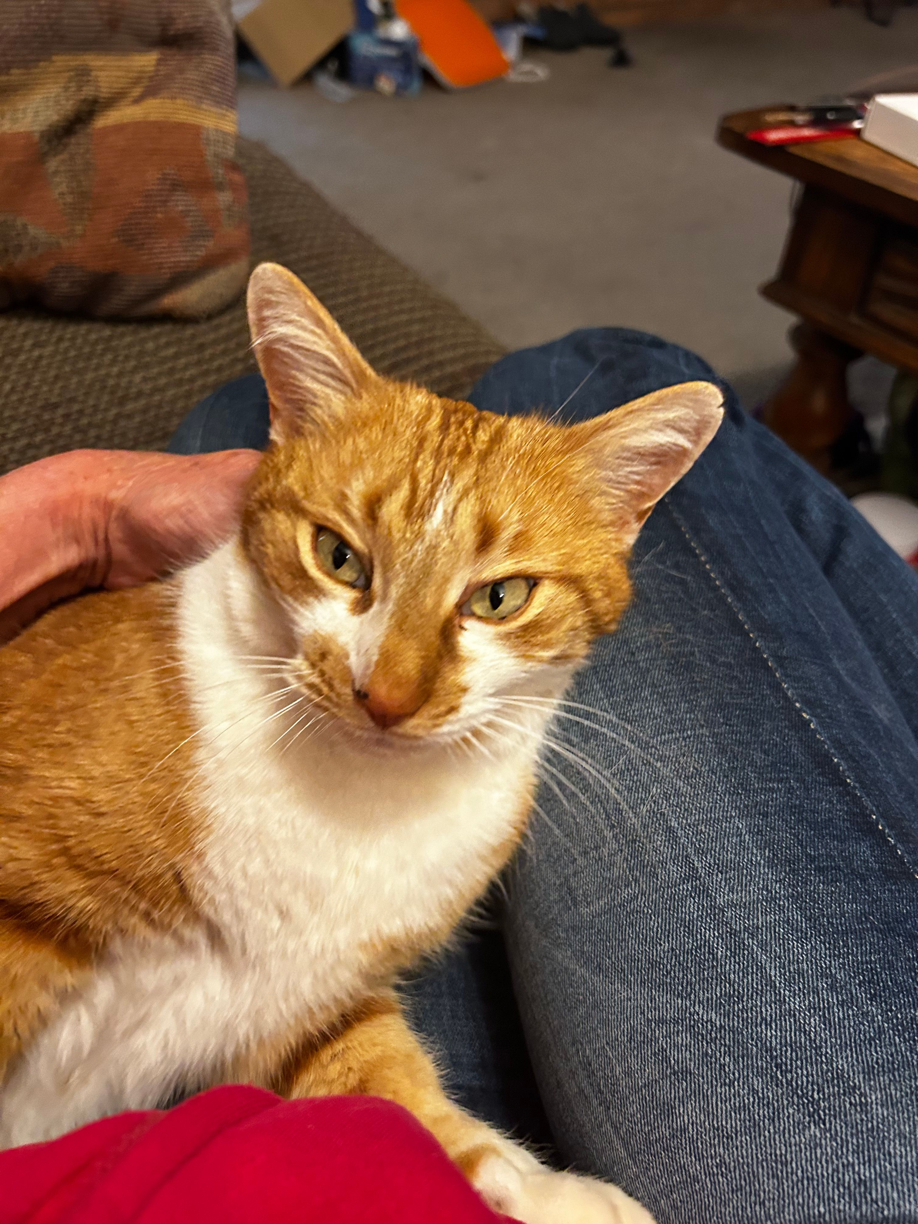 Third and Survey Properties