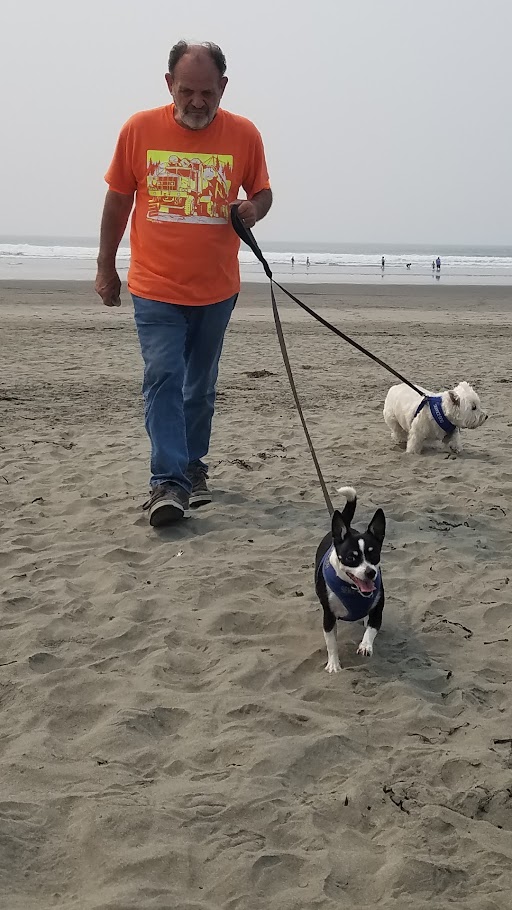 Quiet wooded park, near beaches.