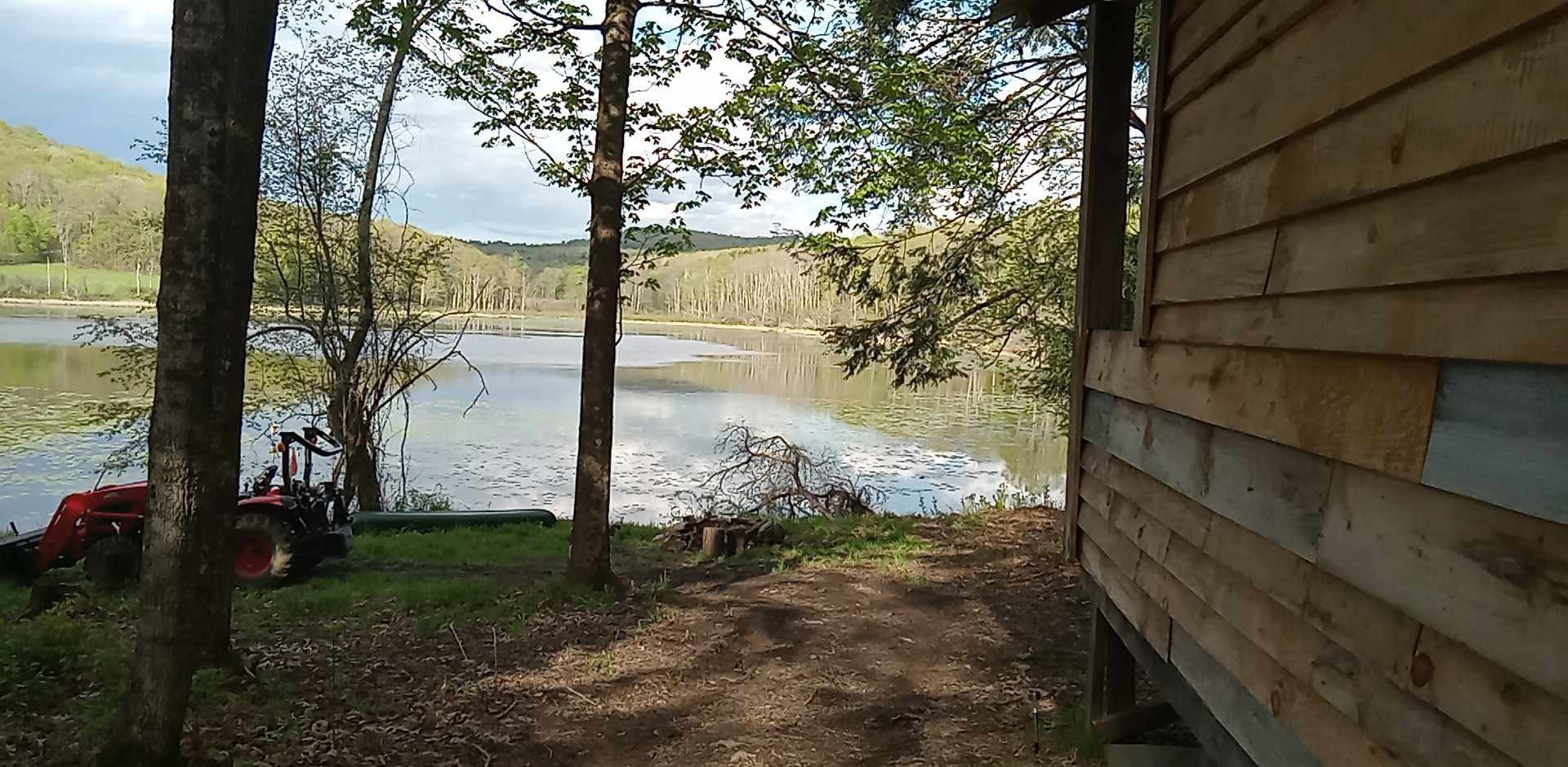 Pond Adventures