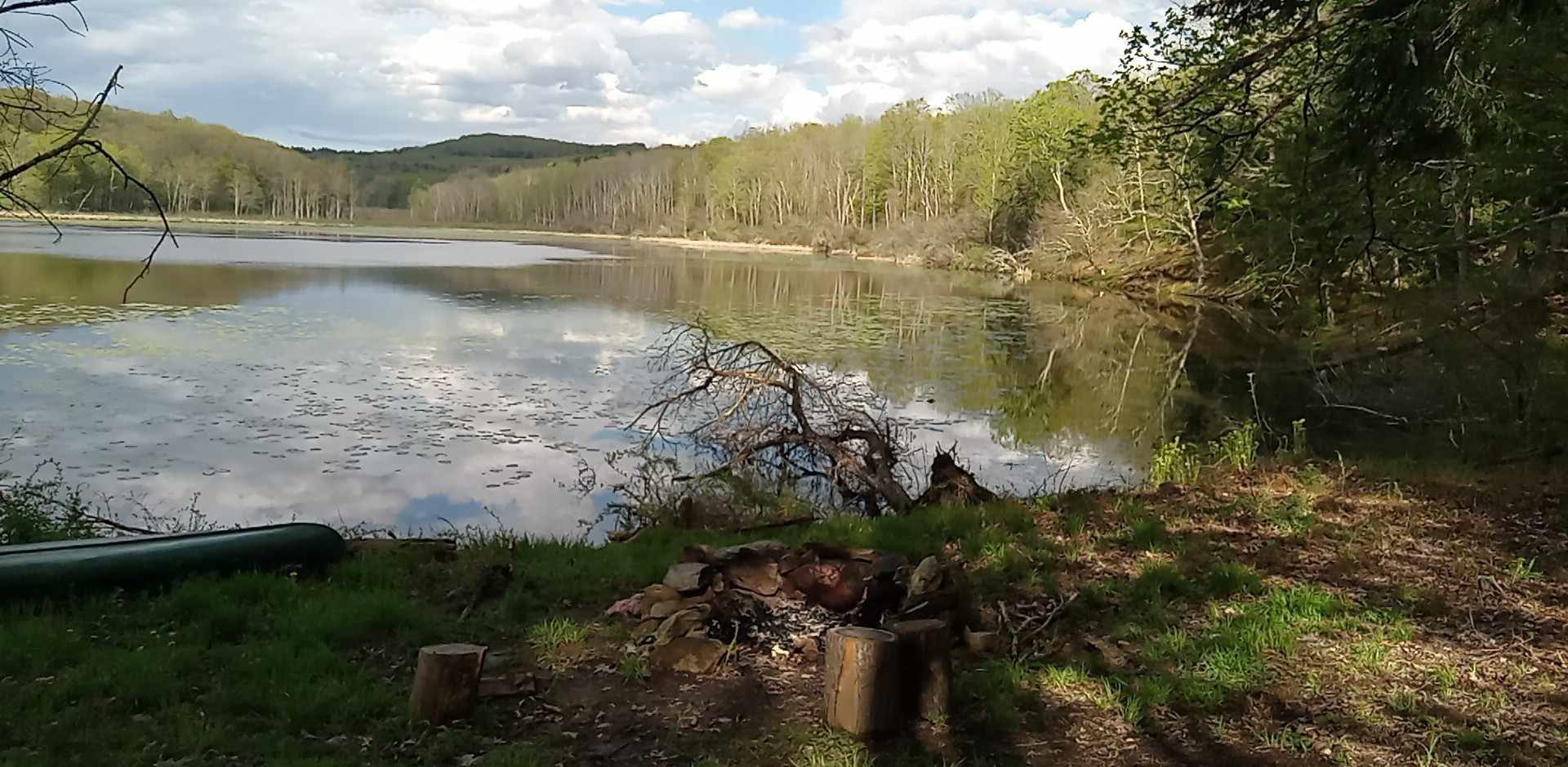 Pond Adventures