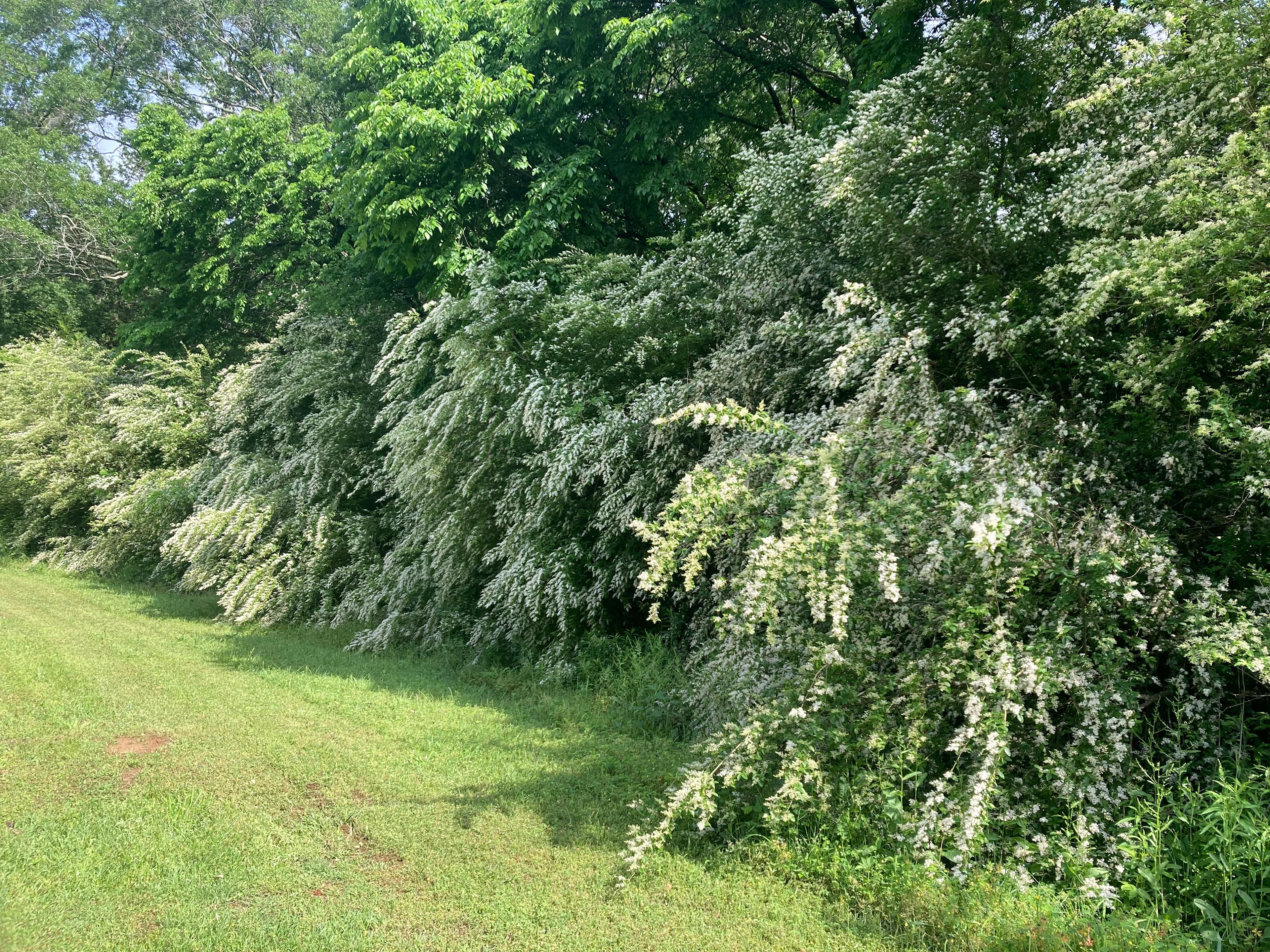 CrowMocker Cabins And Camping
