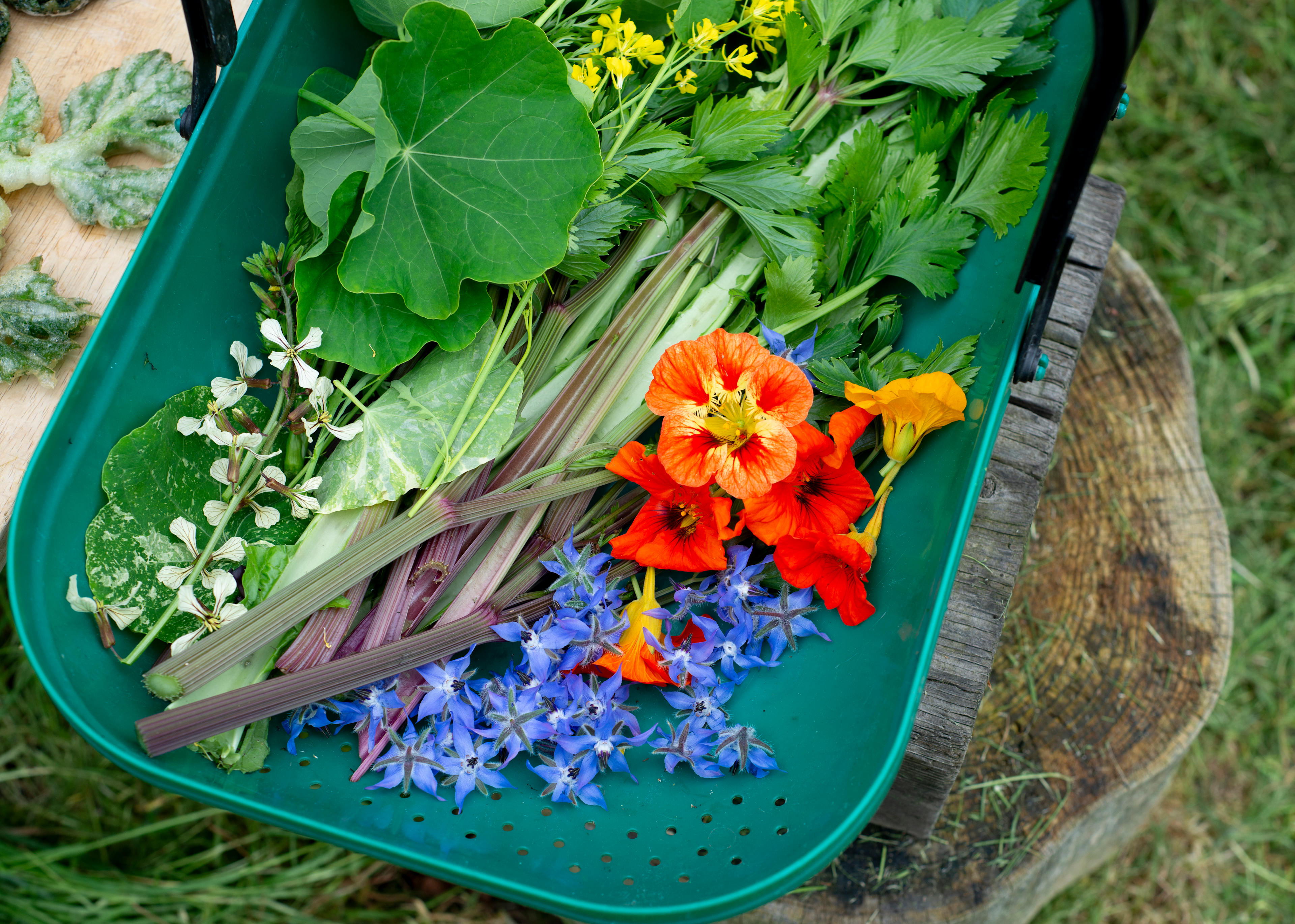 Rebel Farmer Sole-use glamping Kent