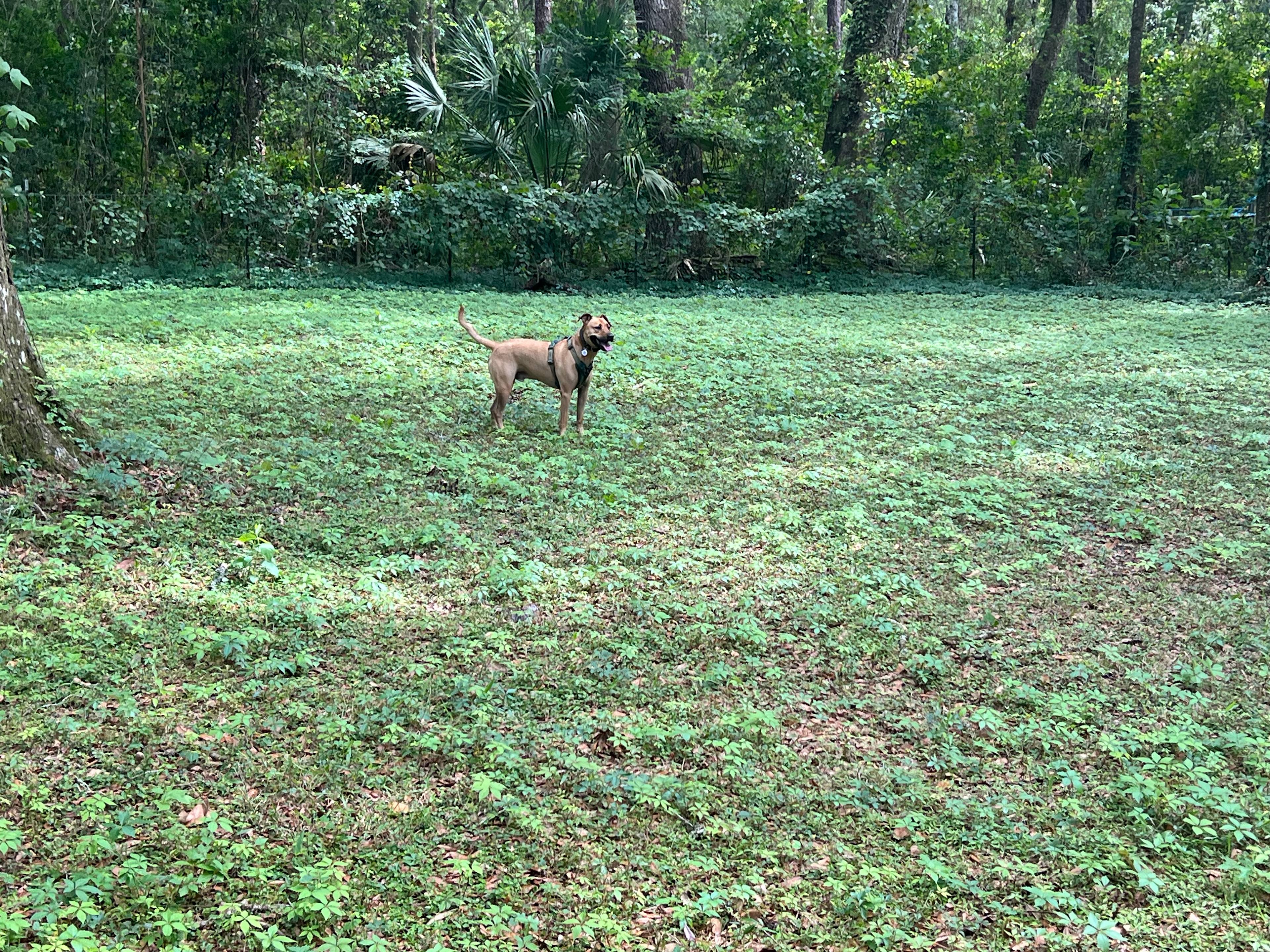 Artists Nature Retreat