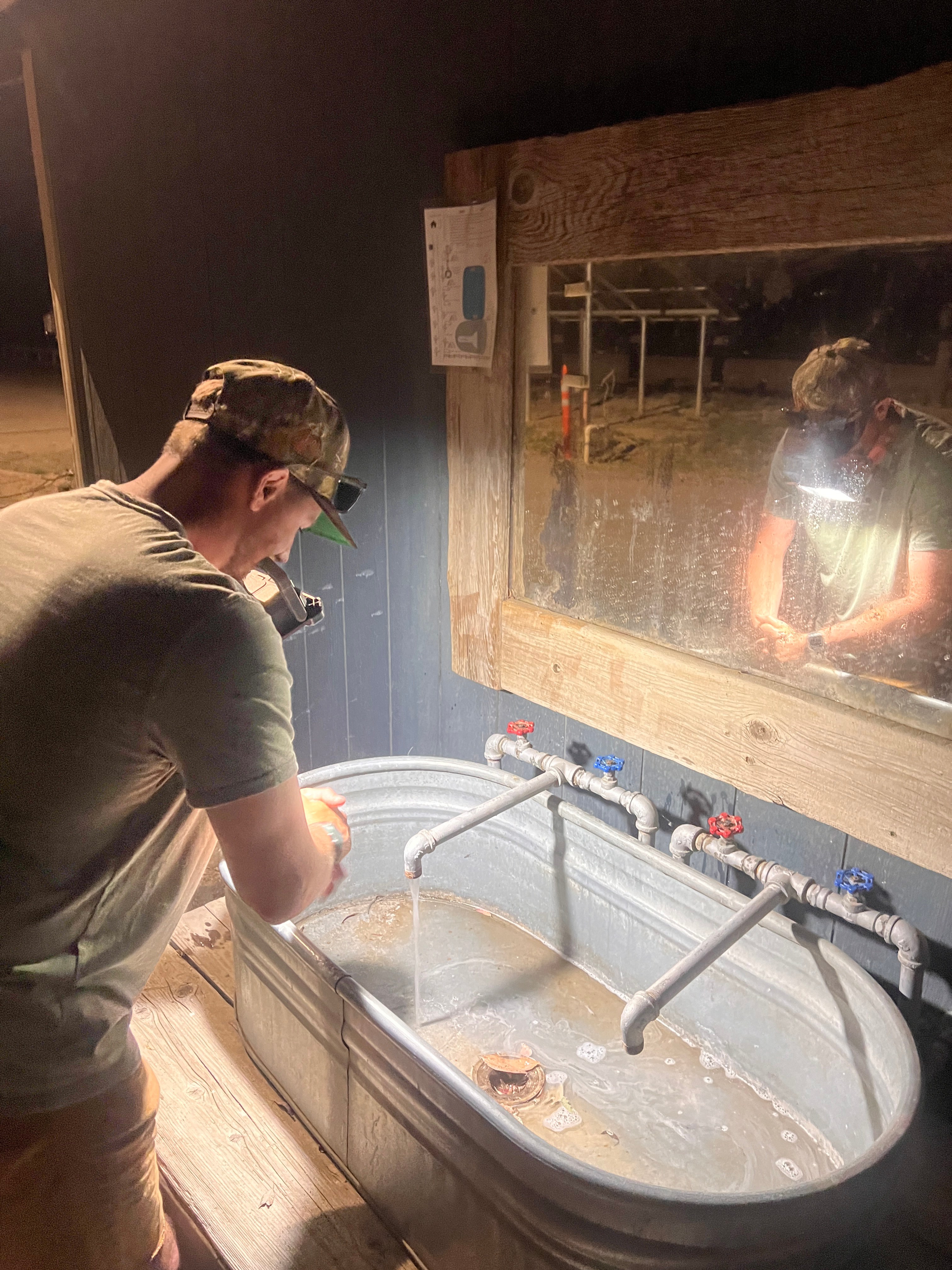 Bakersfield Farm Animals & Pond