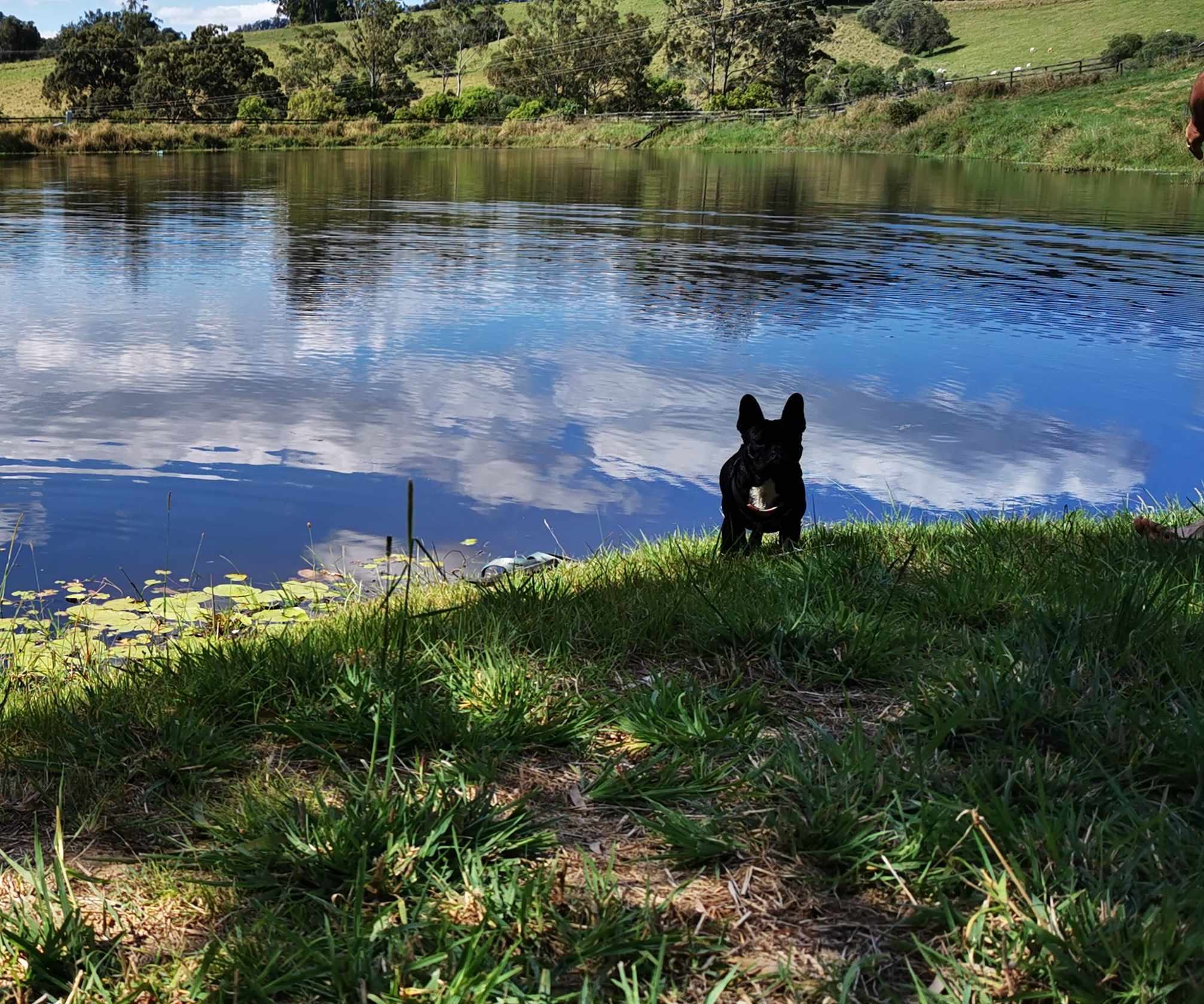 Sandycreek Homestead
