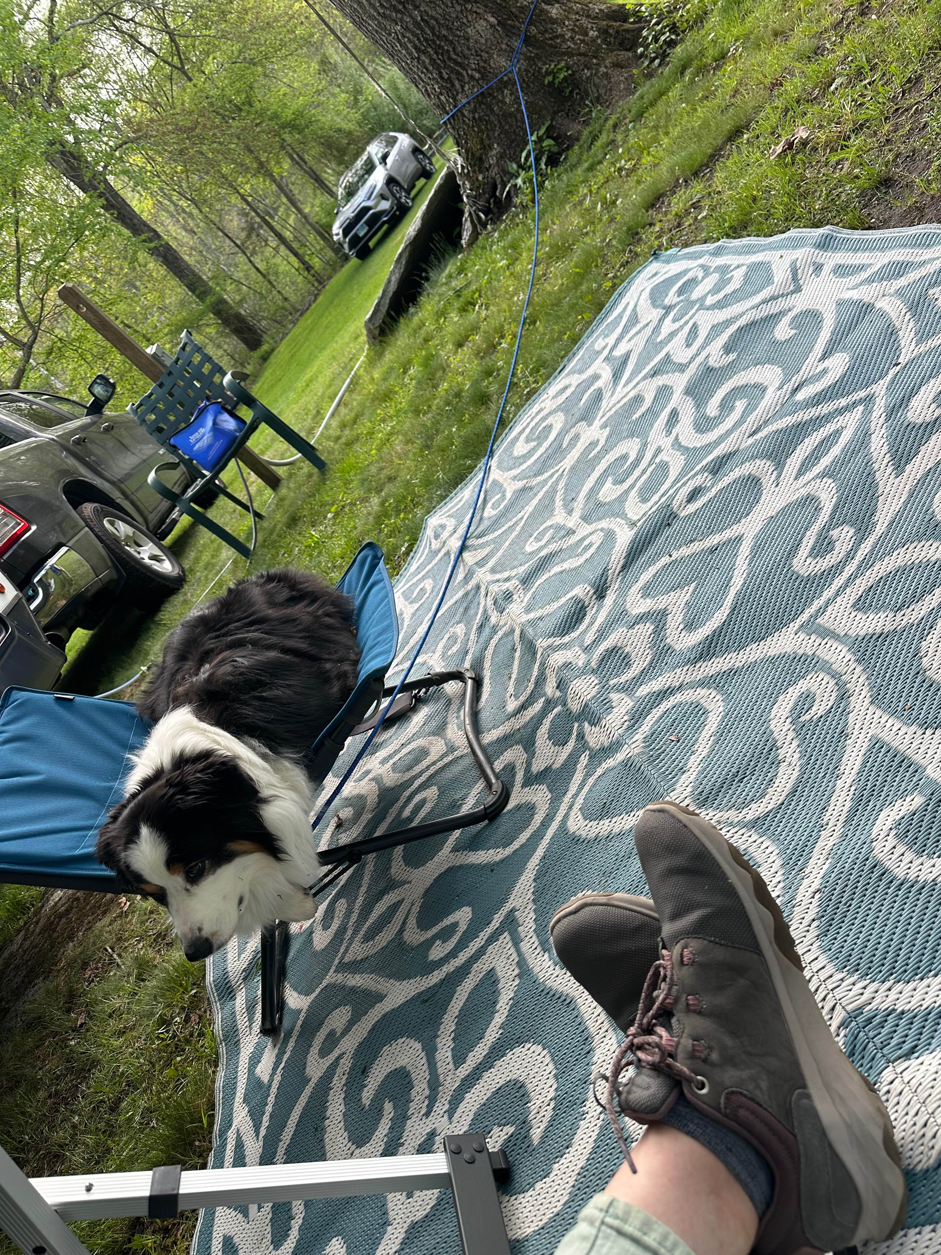 SimplePrivateNaturalEpicFirepitPets