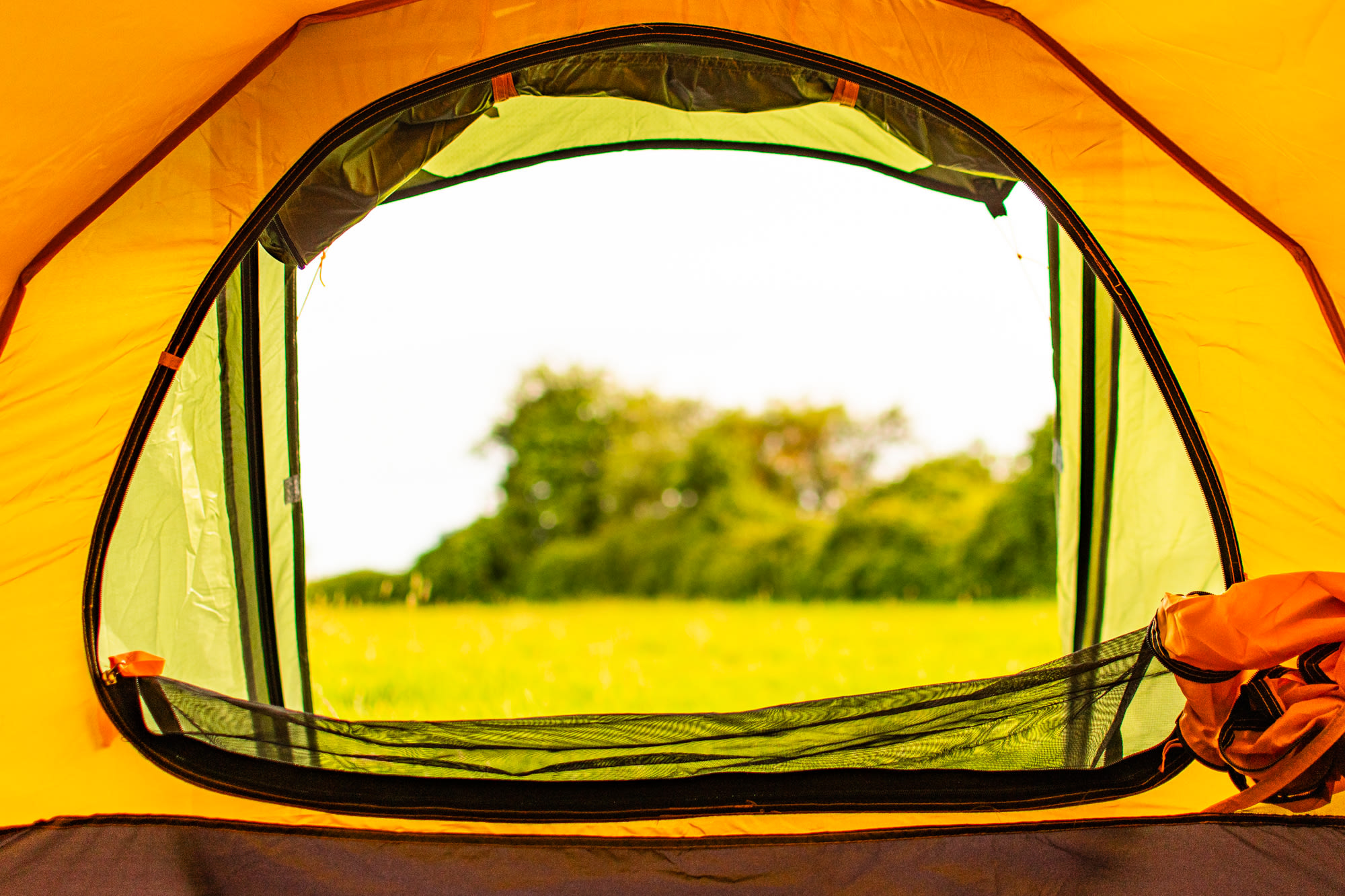 The morning view from my tent ☀️