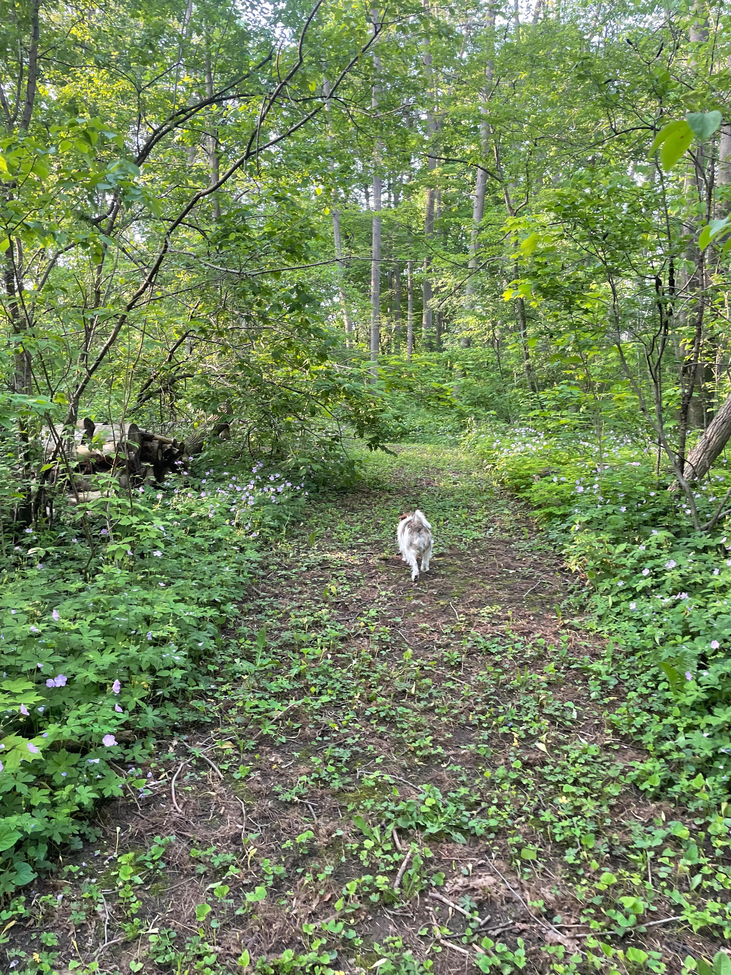 Secluded River Flats Camping