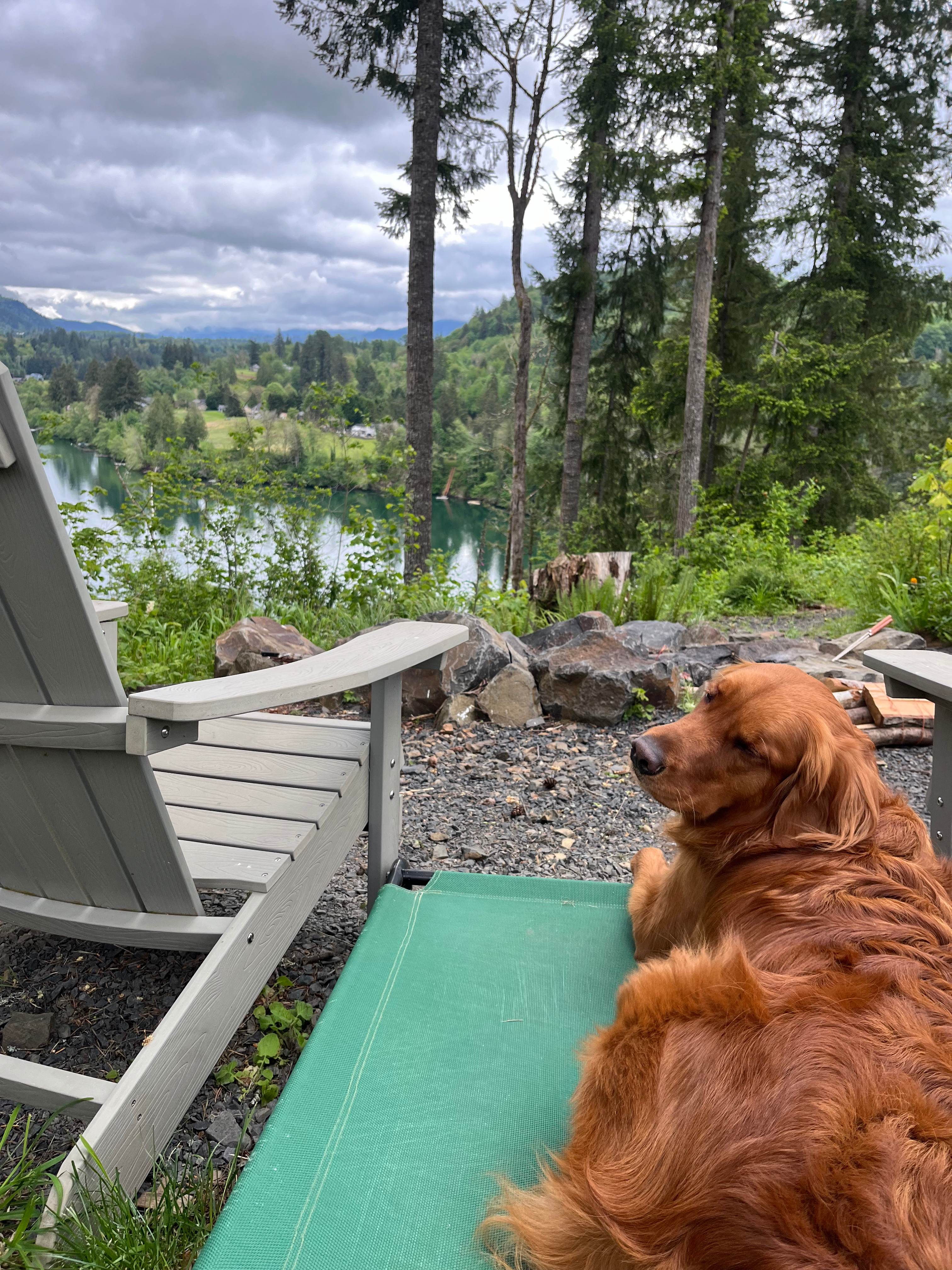The Lookout at Mayfield Lake