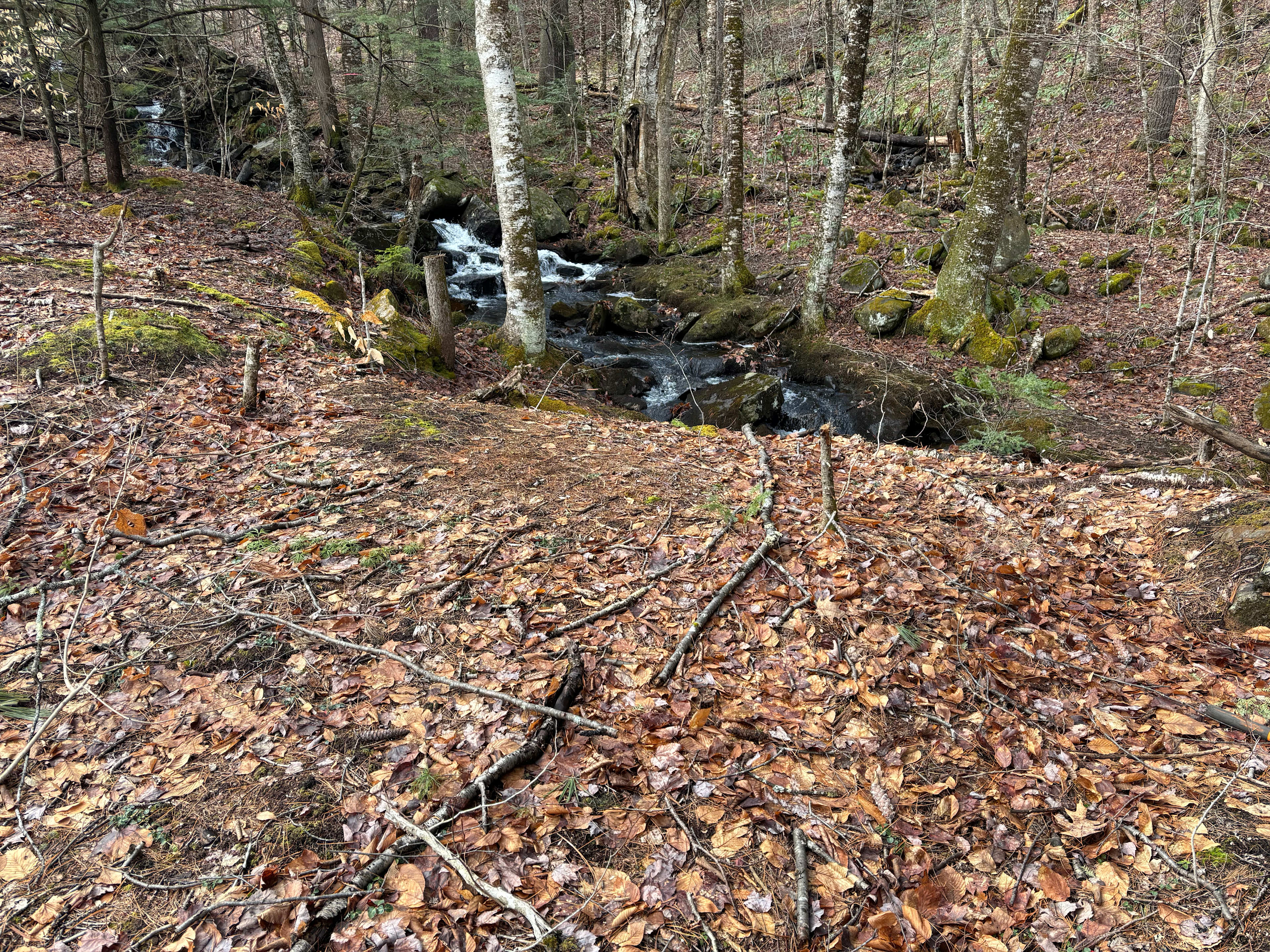 Deep Woods Hideaway