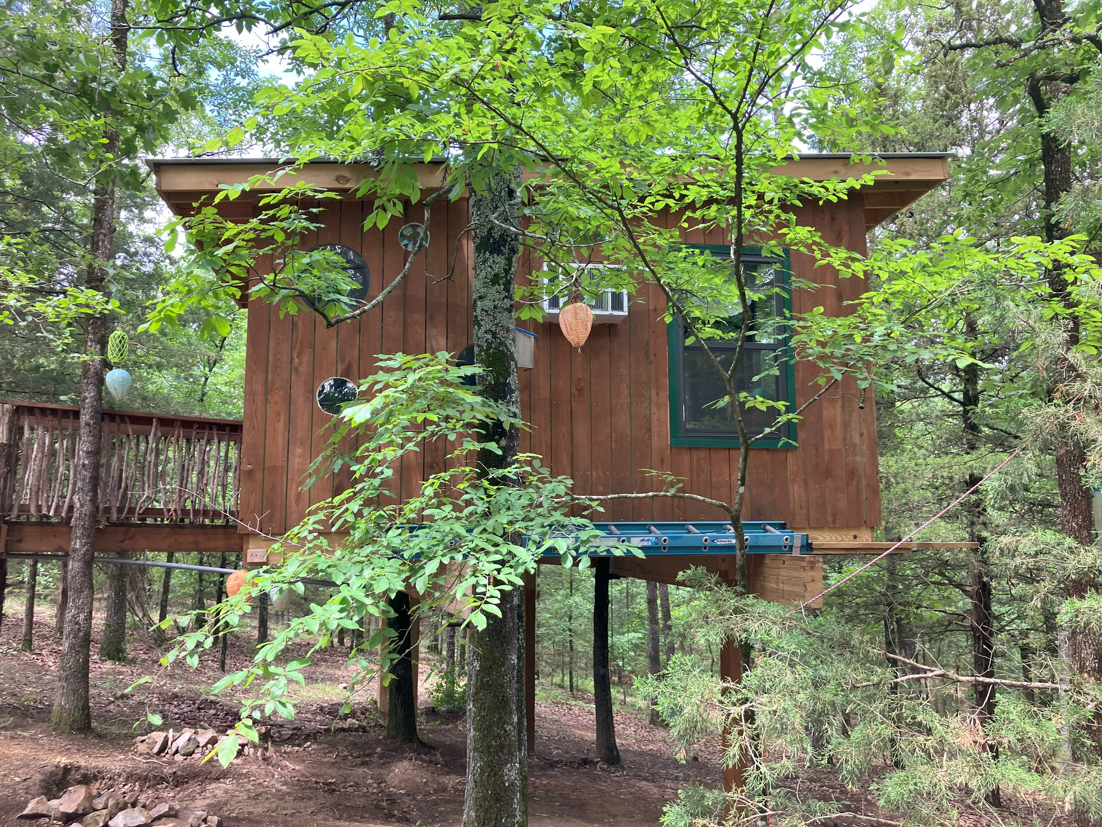East side view of Tree House