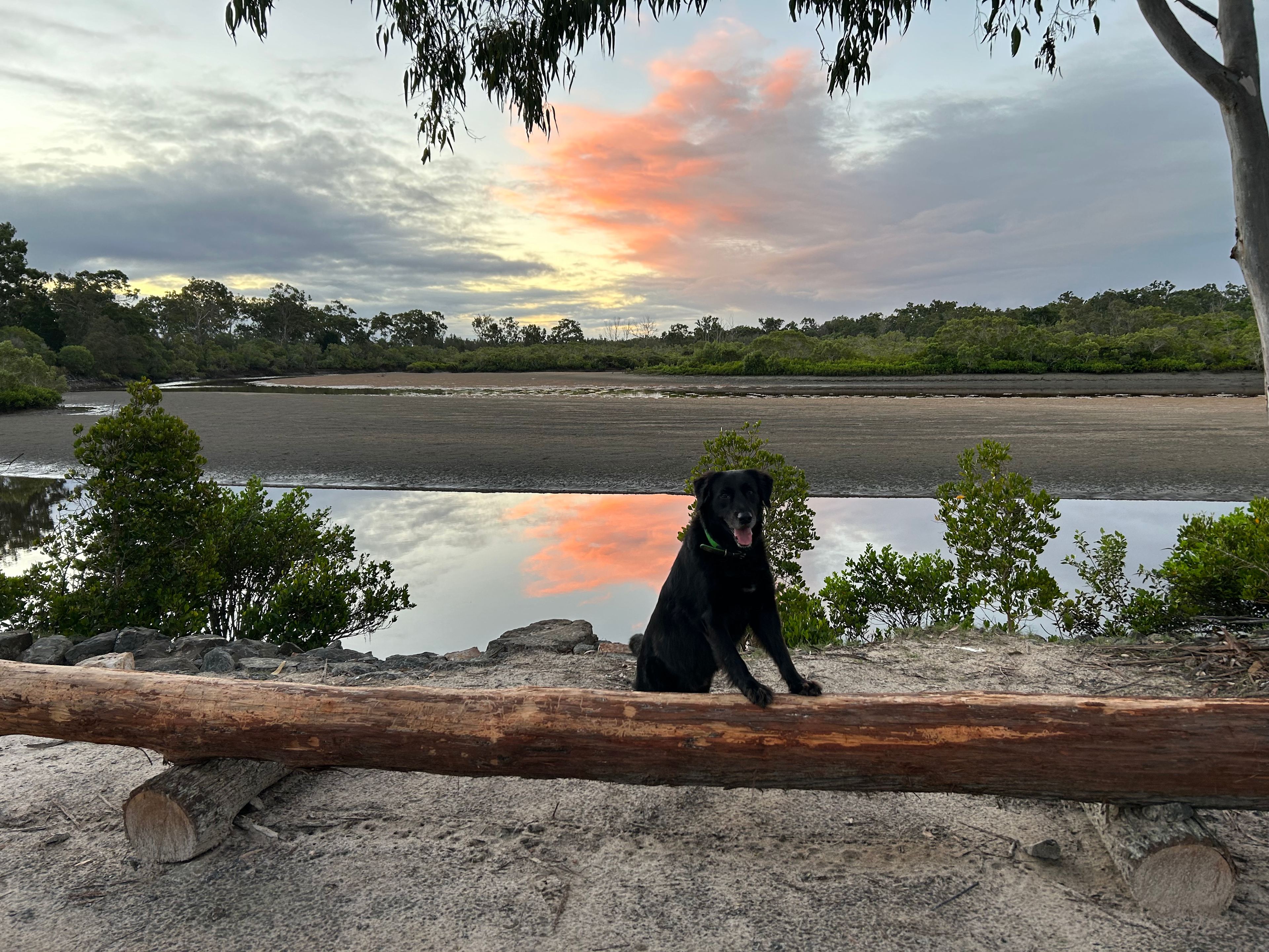 Rosgrow Farm Camping