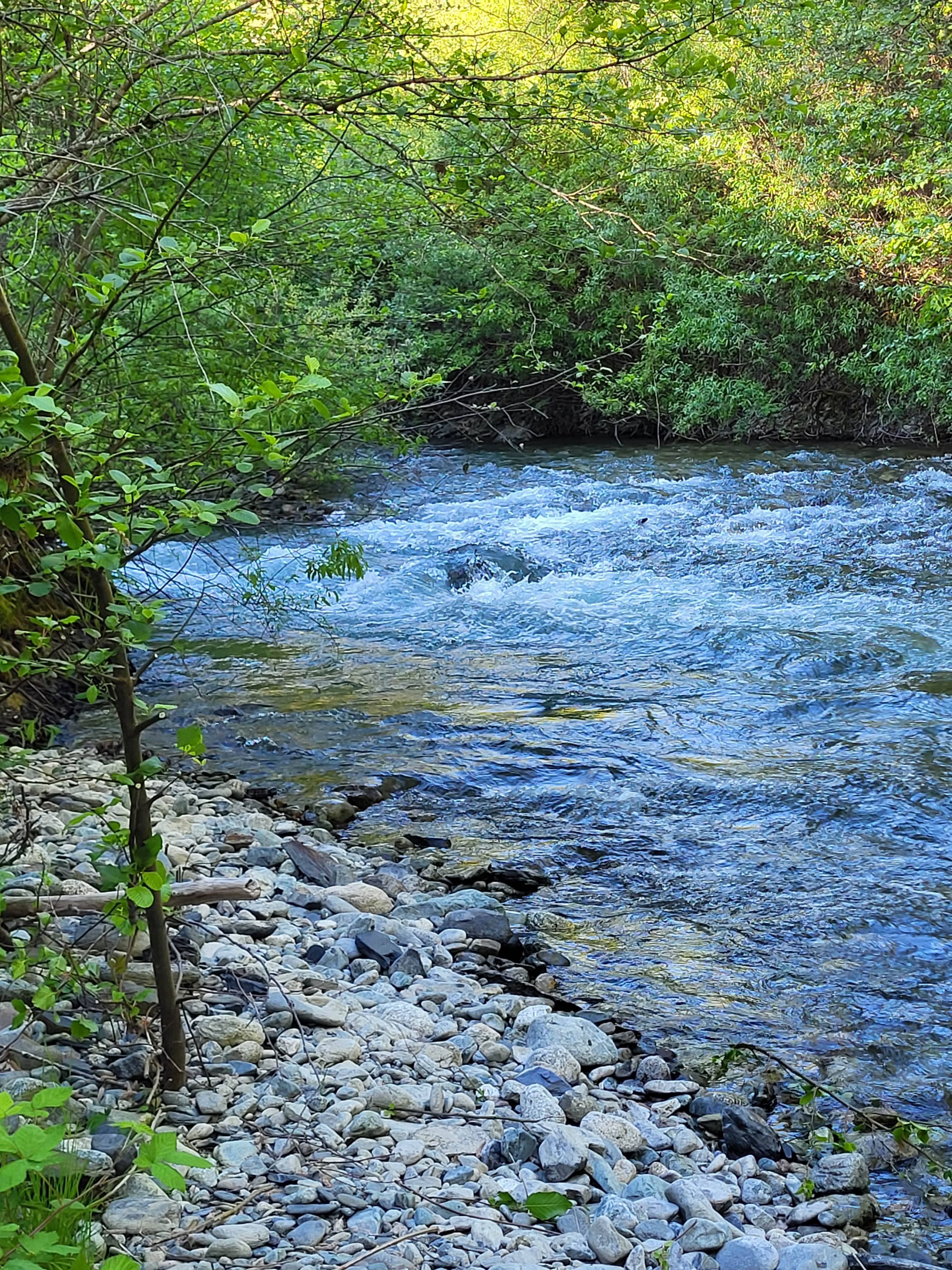 The Swimming Hole On Red Cap Creek