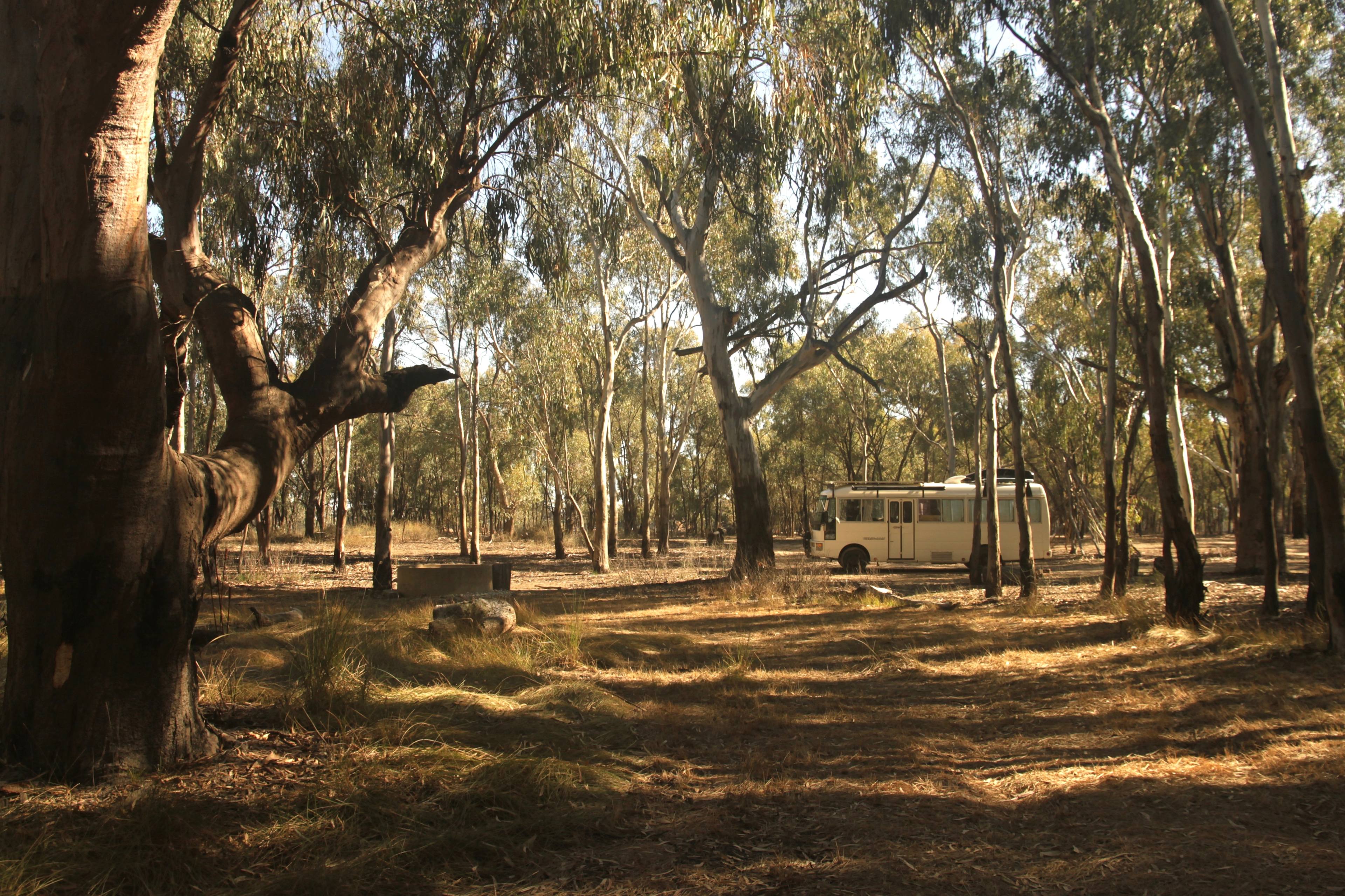 Big Bama bush camp