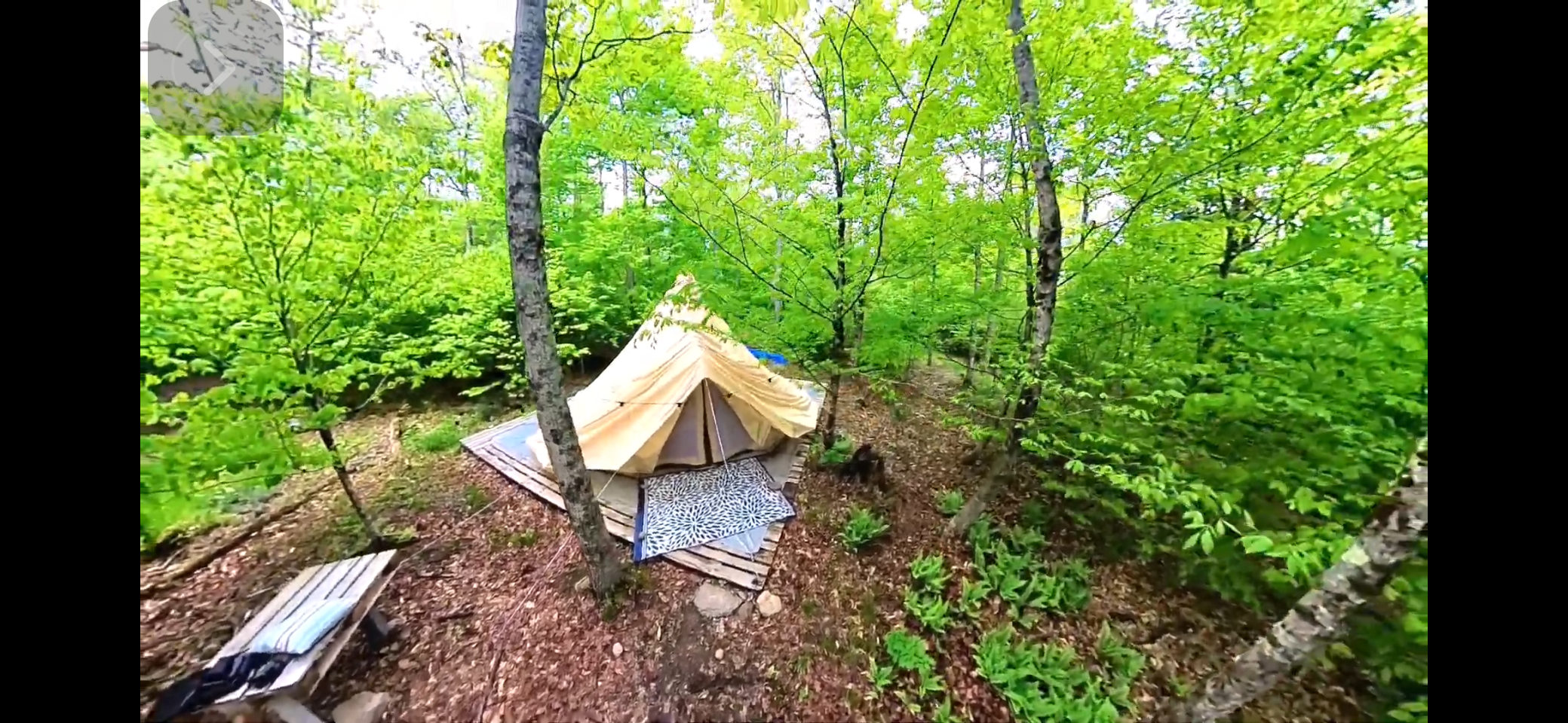 TainoWoods Fairy Magical Sweet Land