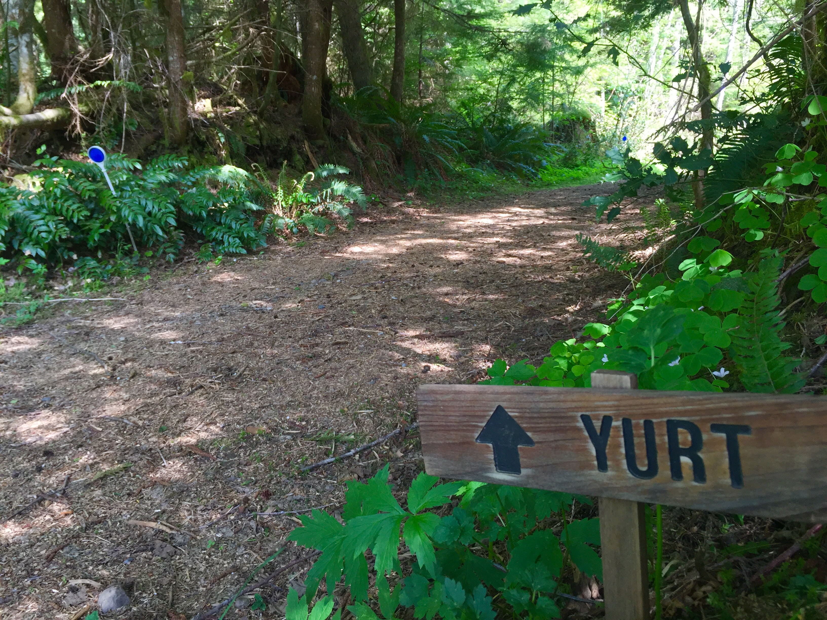 Alexanders Lodge Yurts