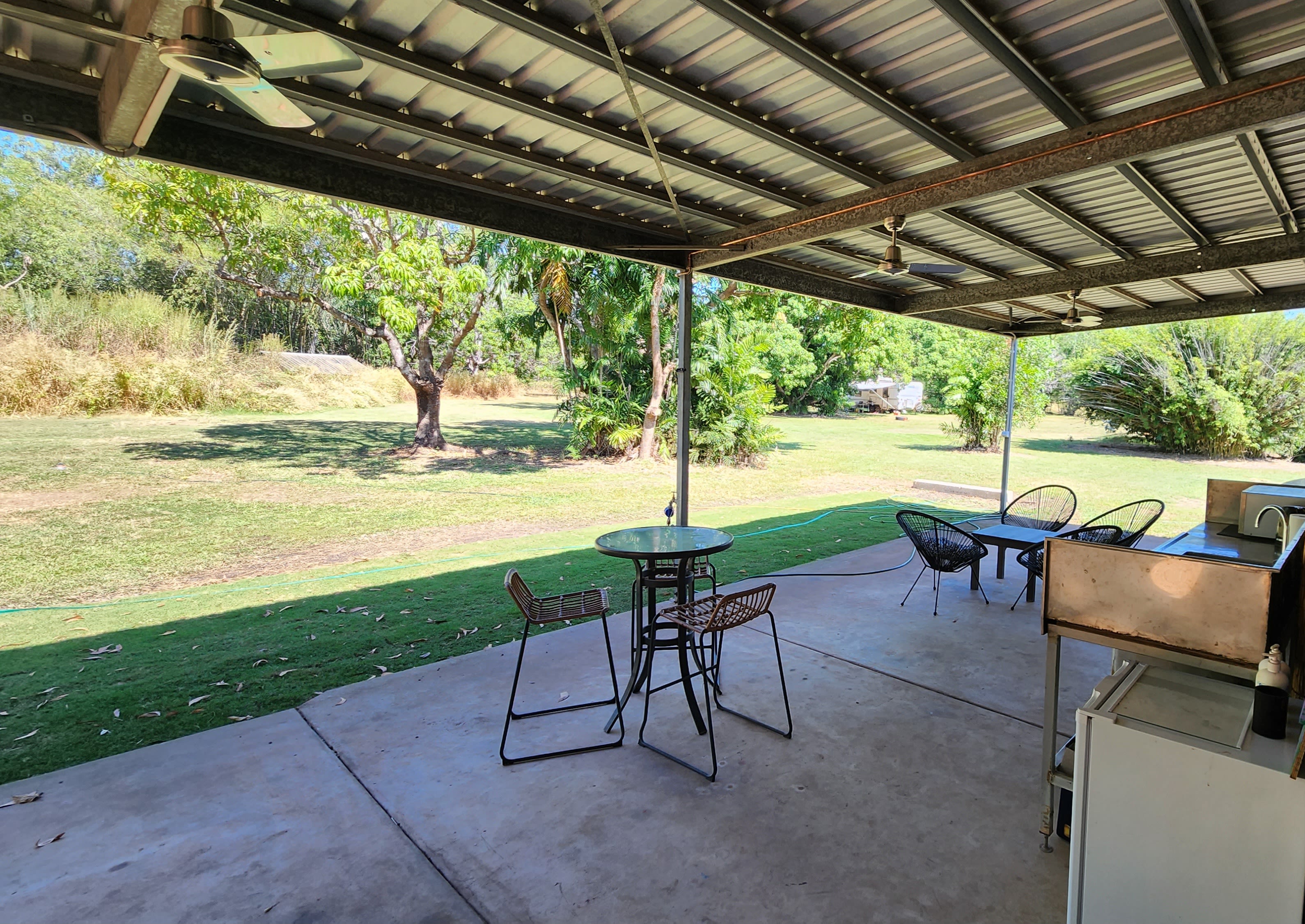 Under the Mangoes 🥭