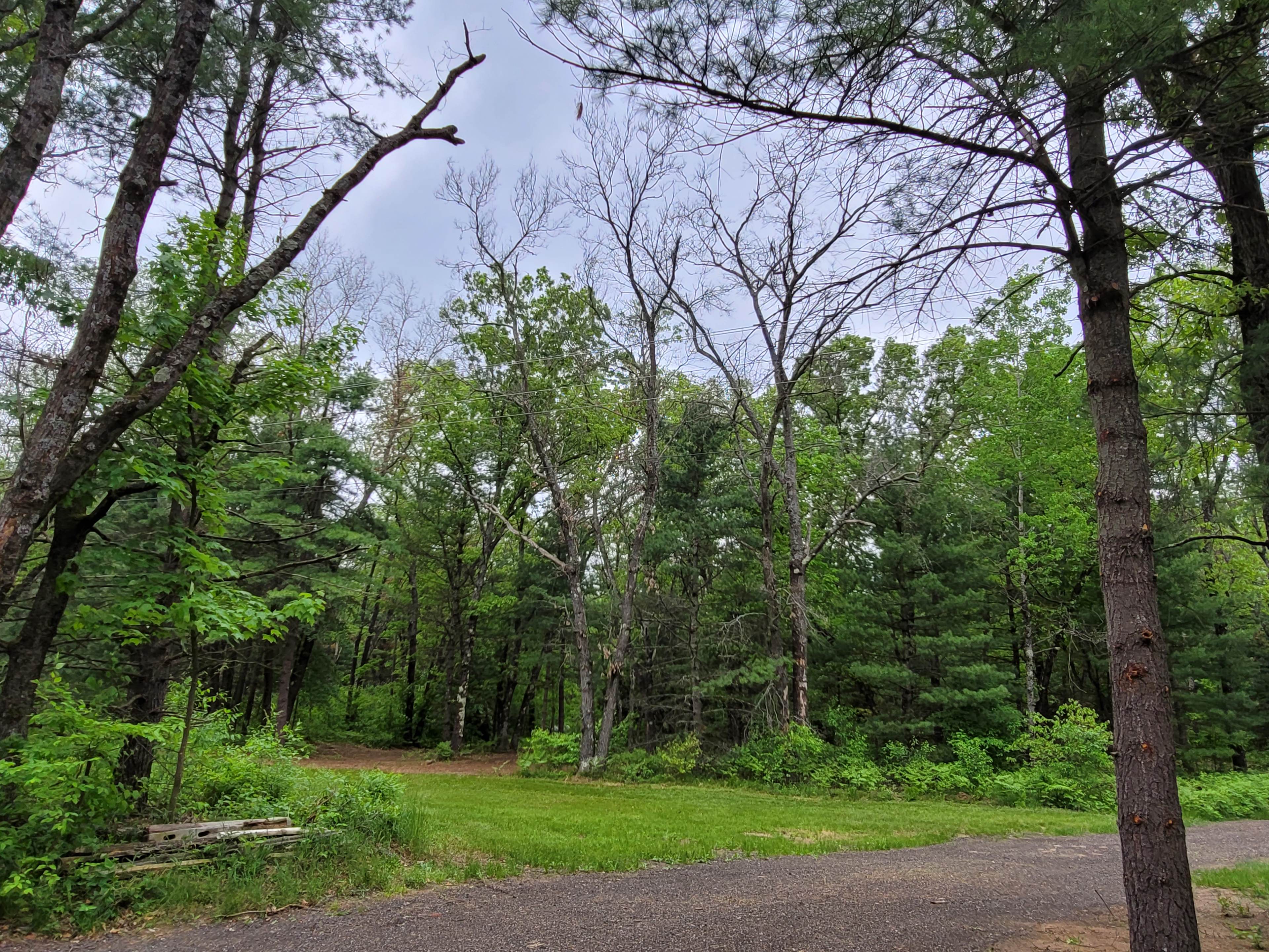 Trailerwood
