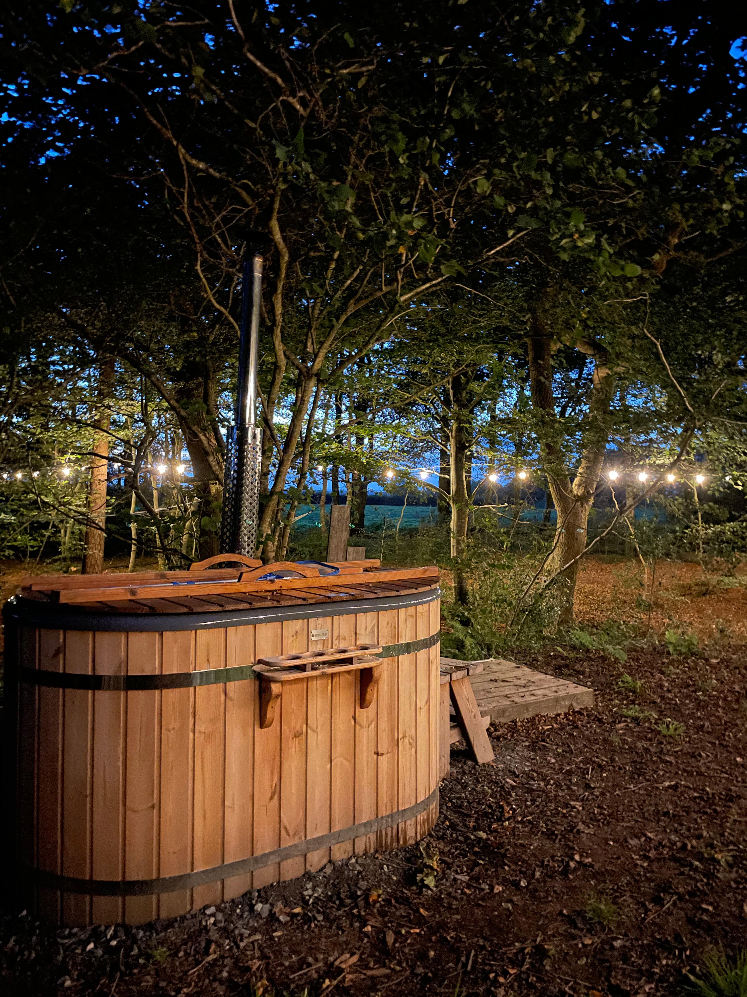 Private woodland in a shepherds hut