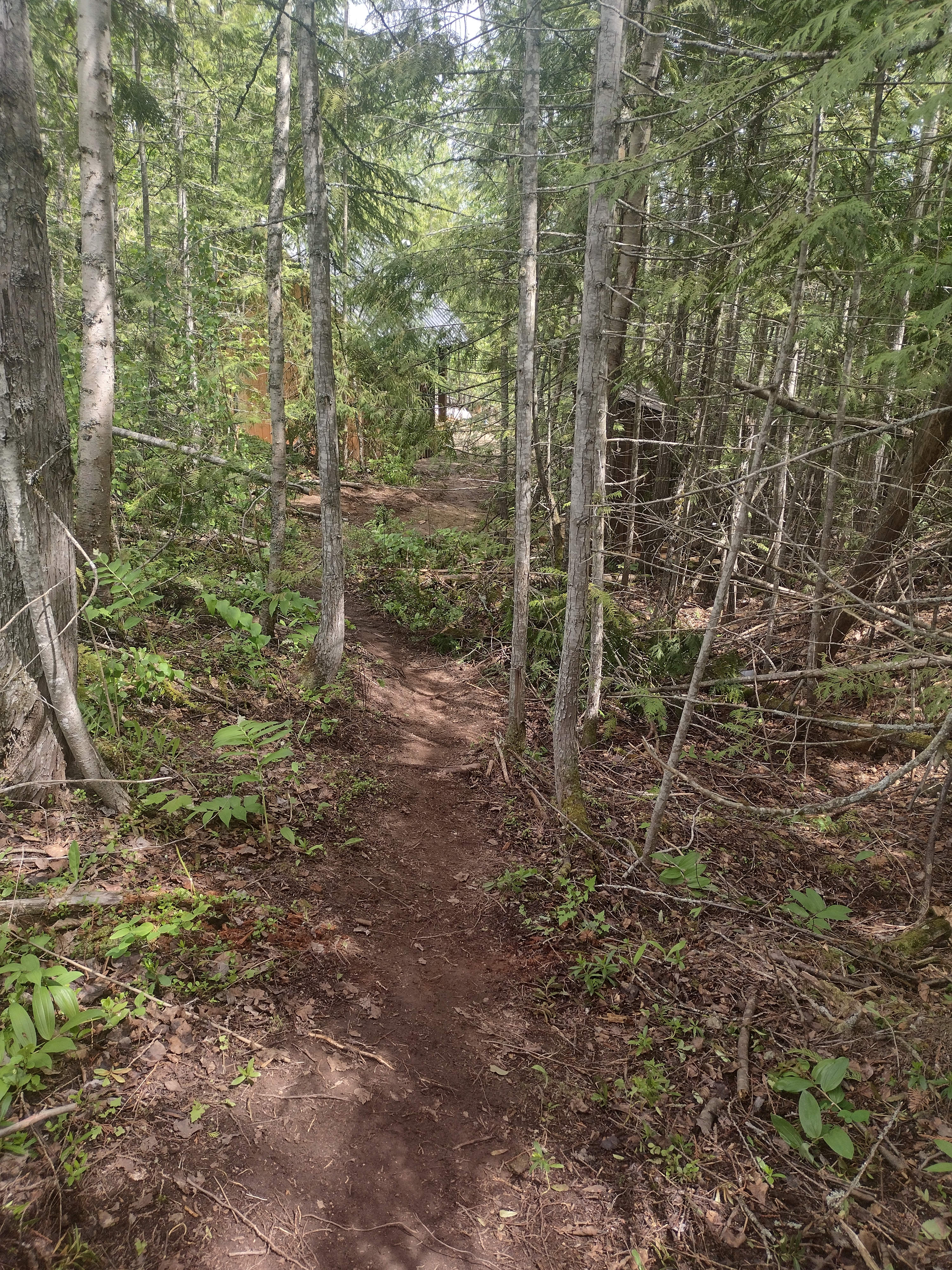 Trail
