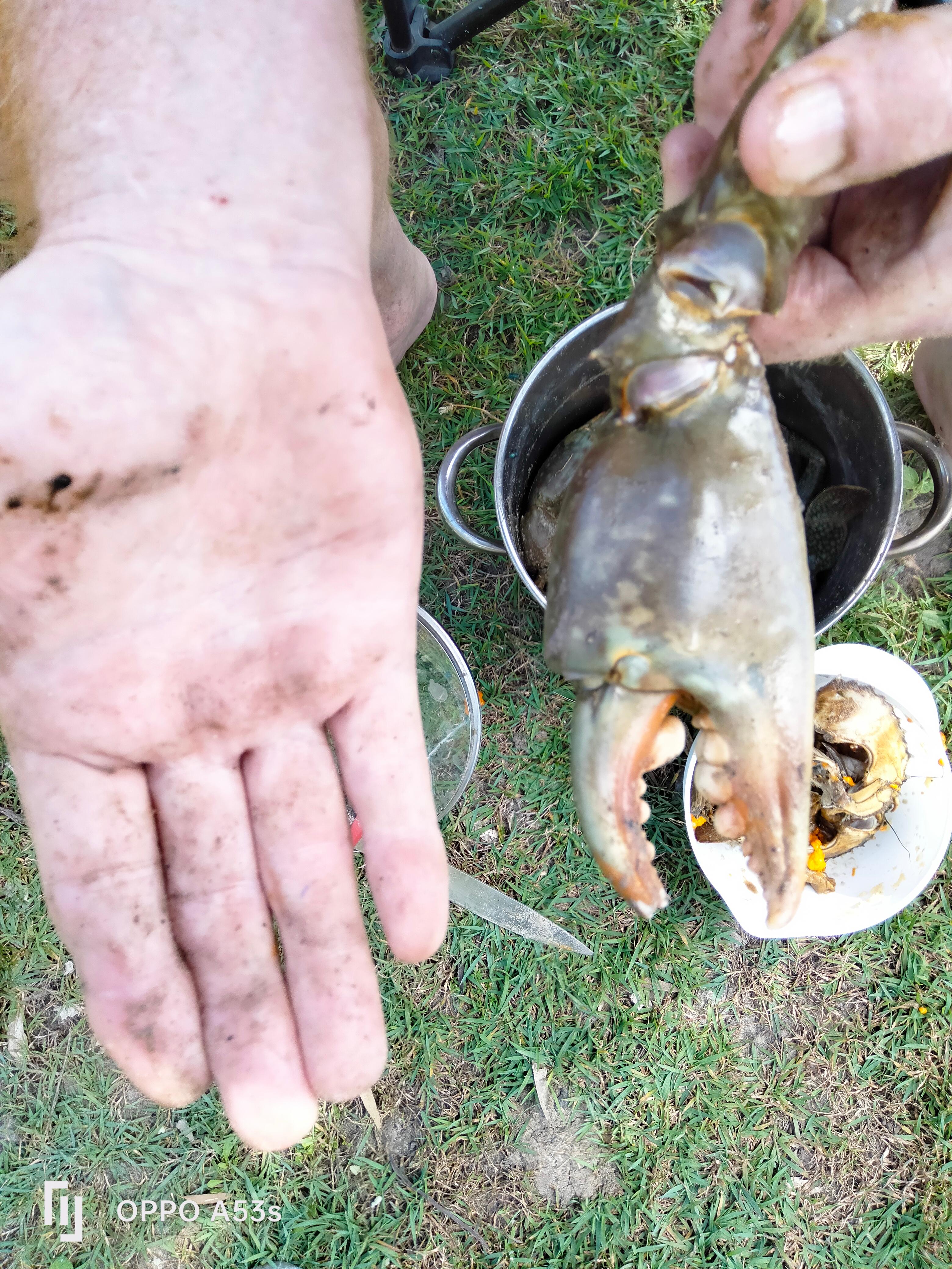 Rosgrow Farm Camping