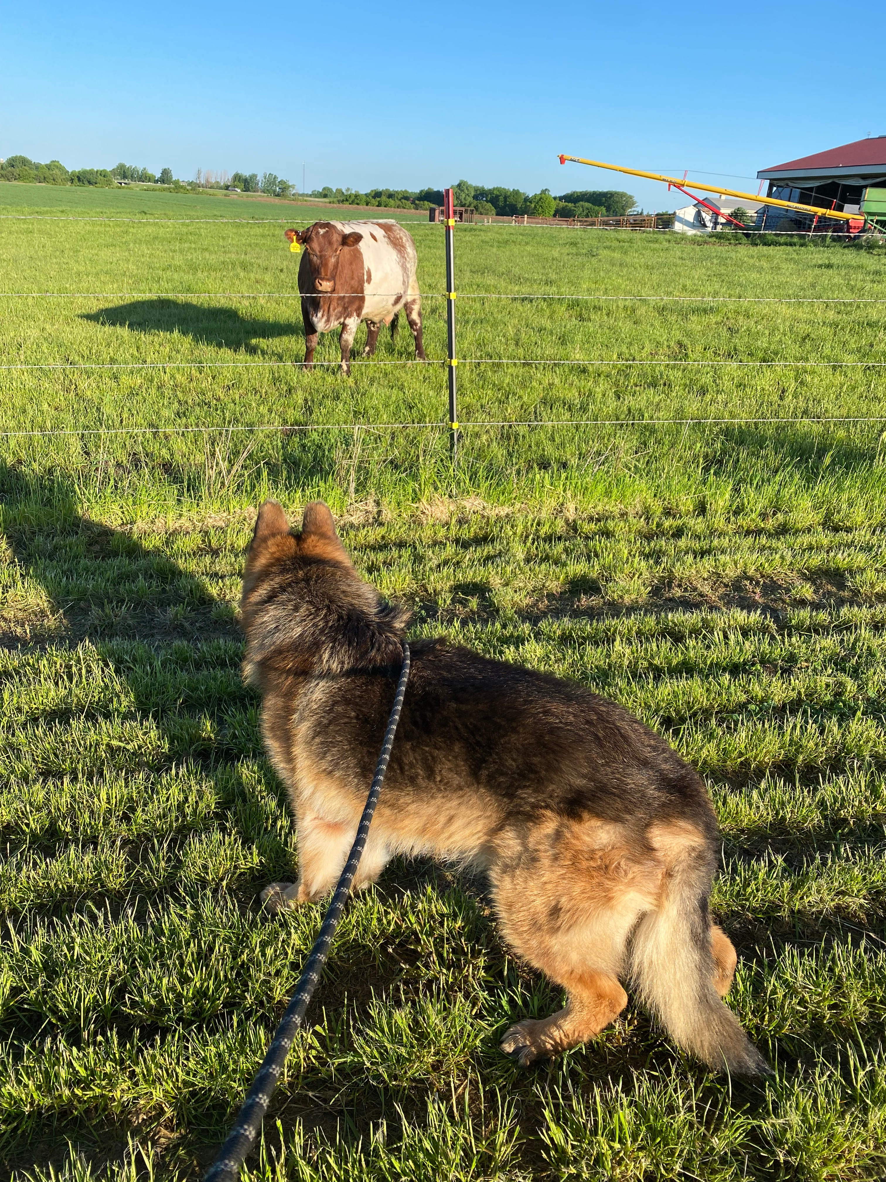 Frickson Family Farms, LLC.