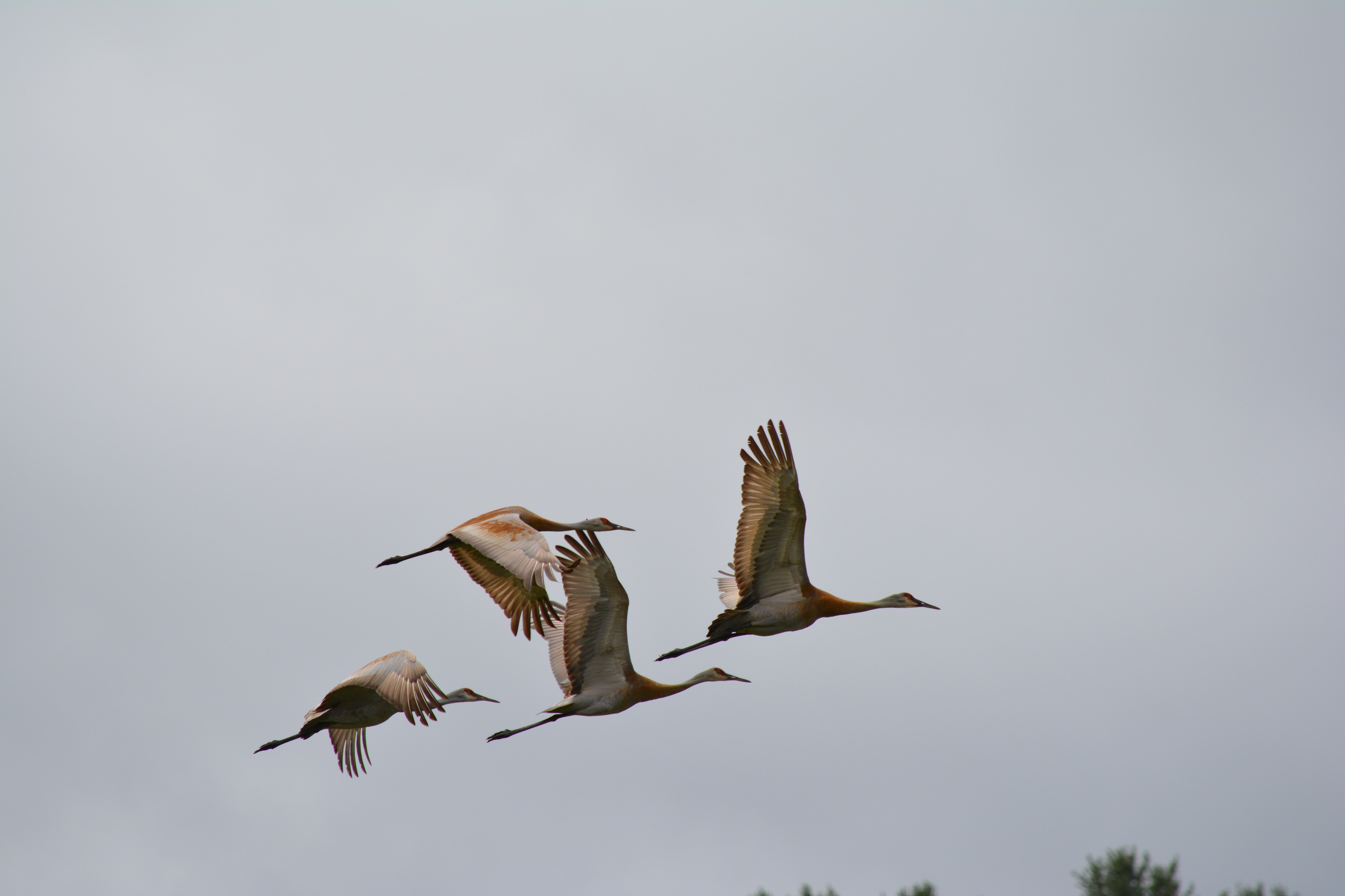 Peddler's Passage Farm & Stay